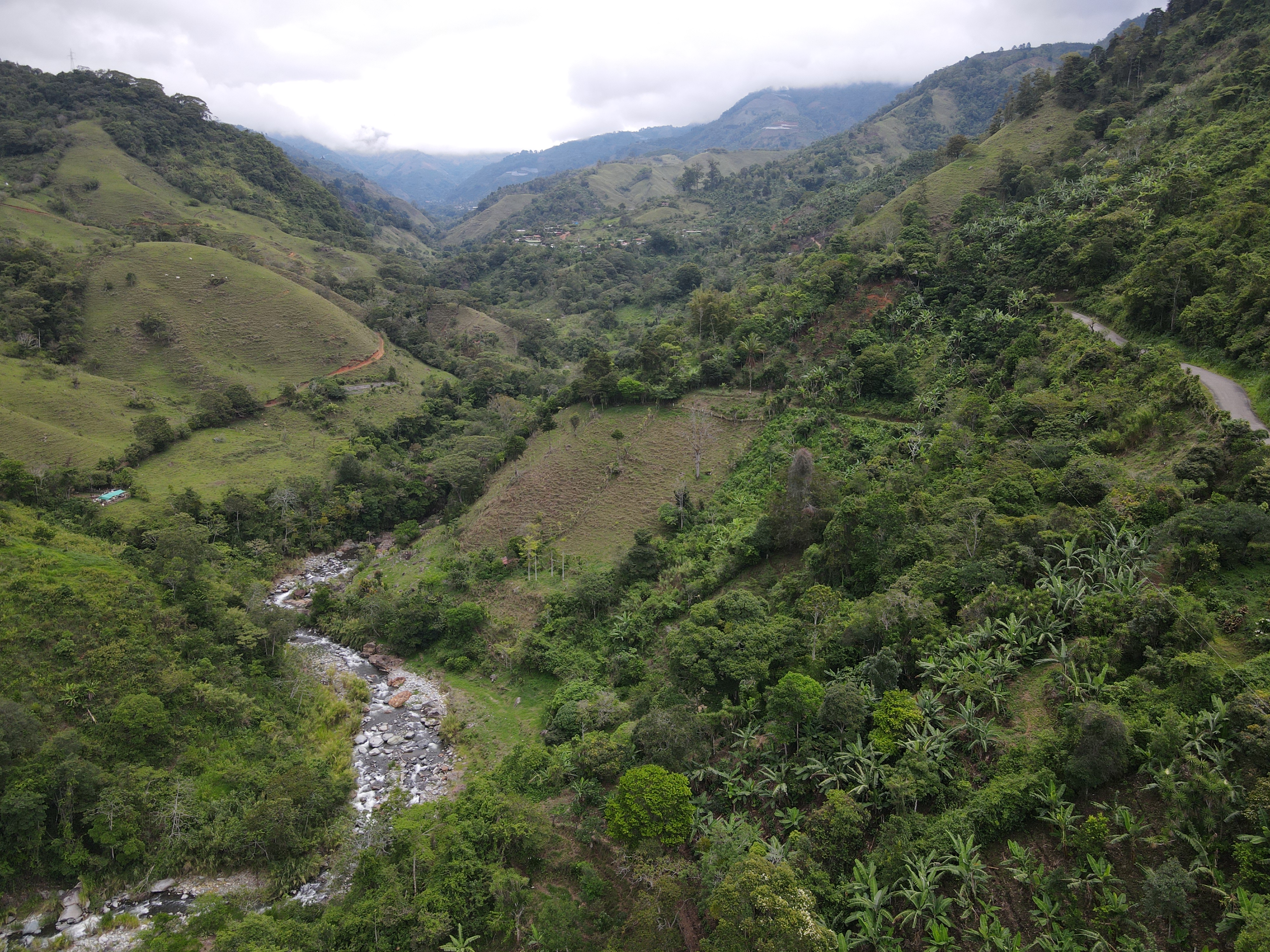 4 bed Single Family Homes For Sale in Perez Zeledon, San Jose - thumb 8