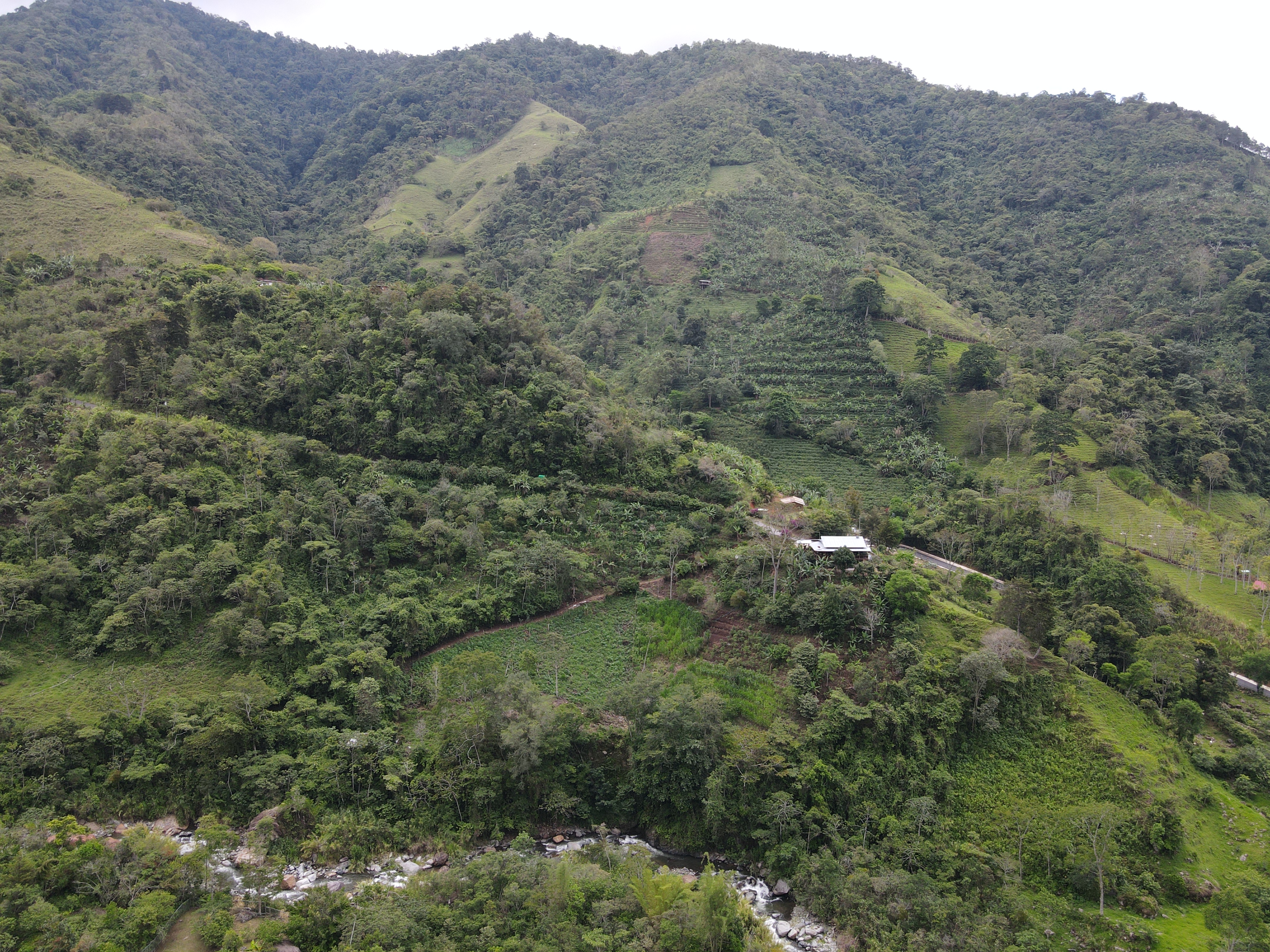 4 bed Single Family Homes For Sale in Perez Zeledon, San Jose - thumb 13