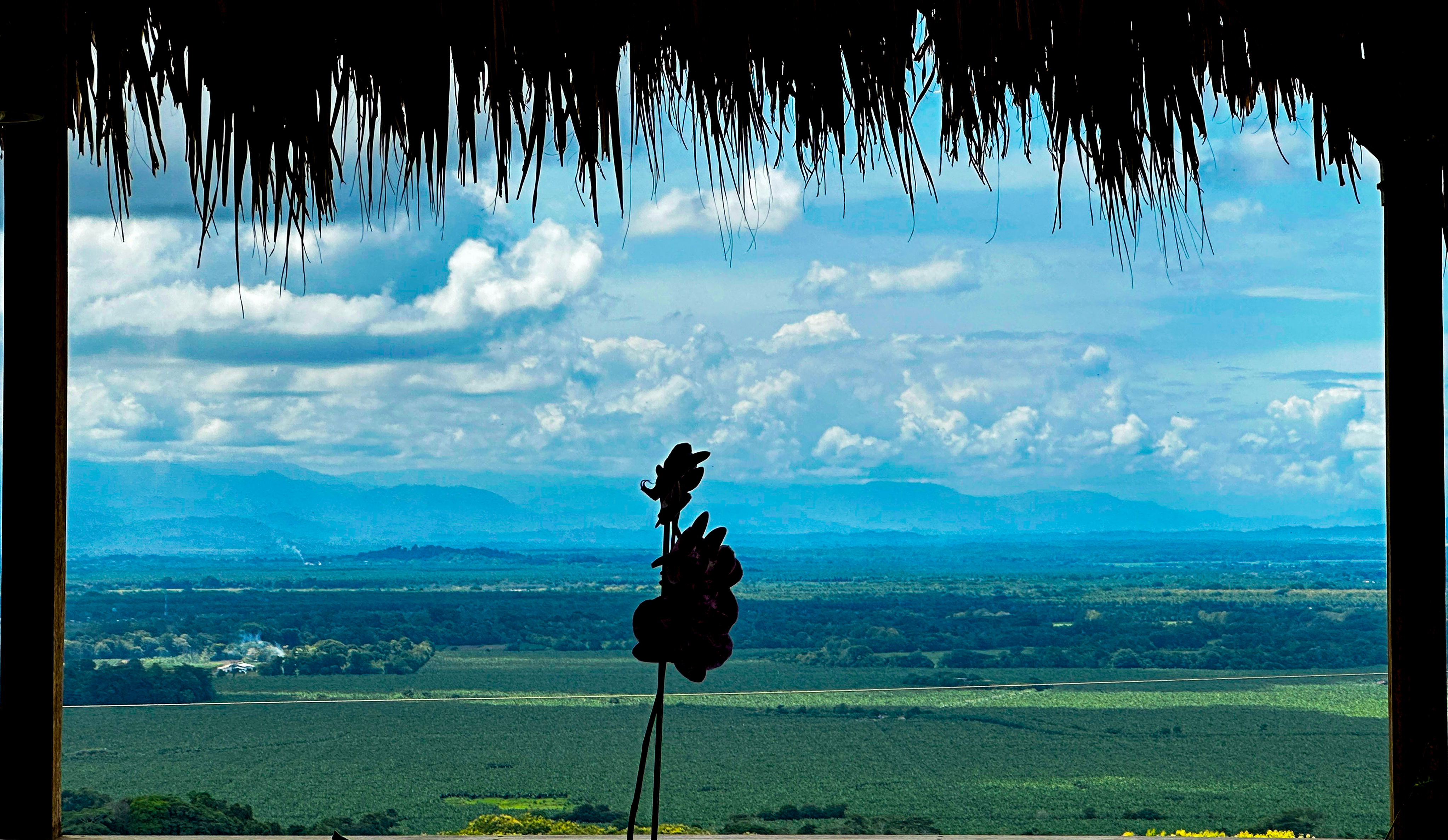 5 bed Single Family Homes For Sale in Esterillos, Puntarenas - thumb 16