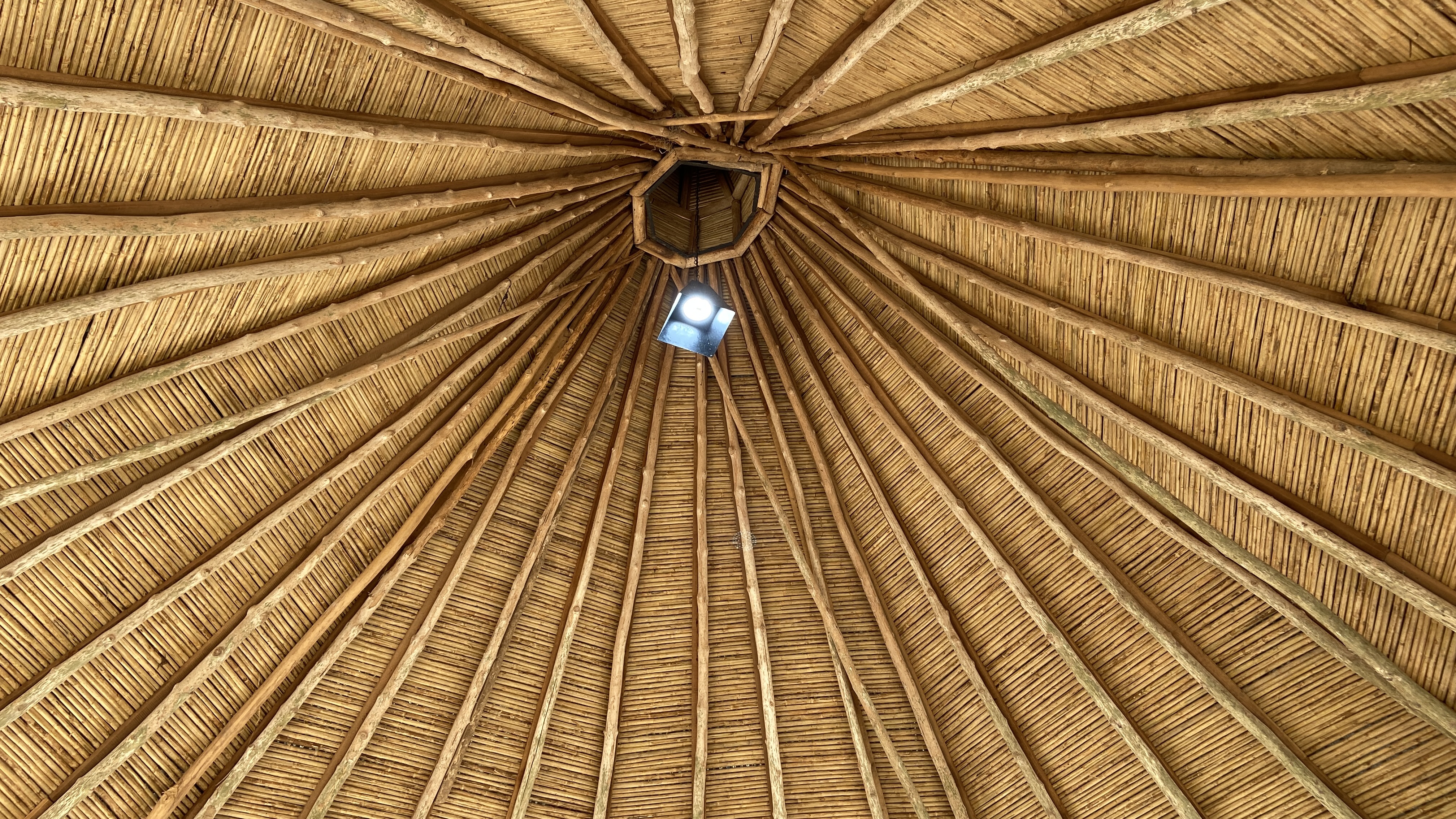 2 bed Land For Sale in Paquera, Puntarenas - thumb 22