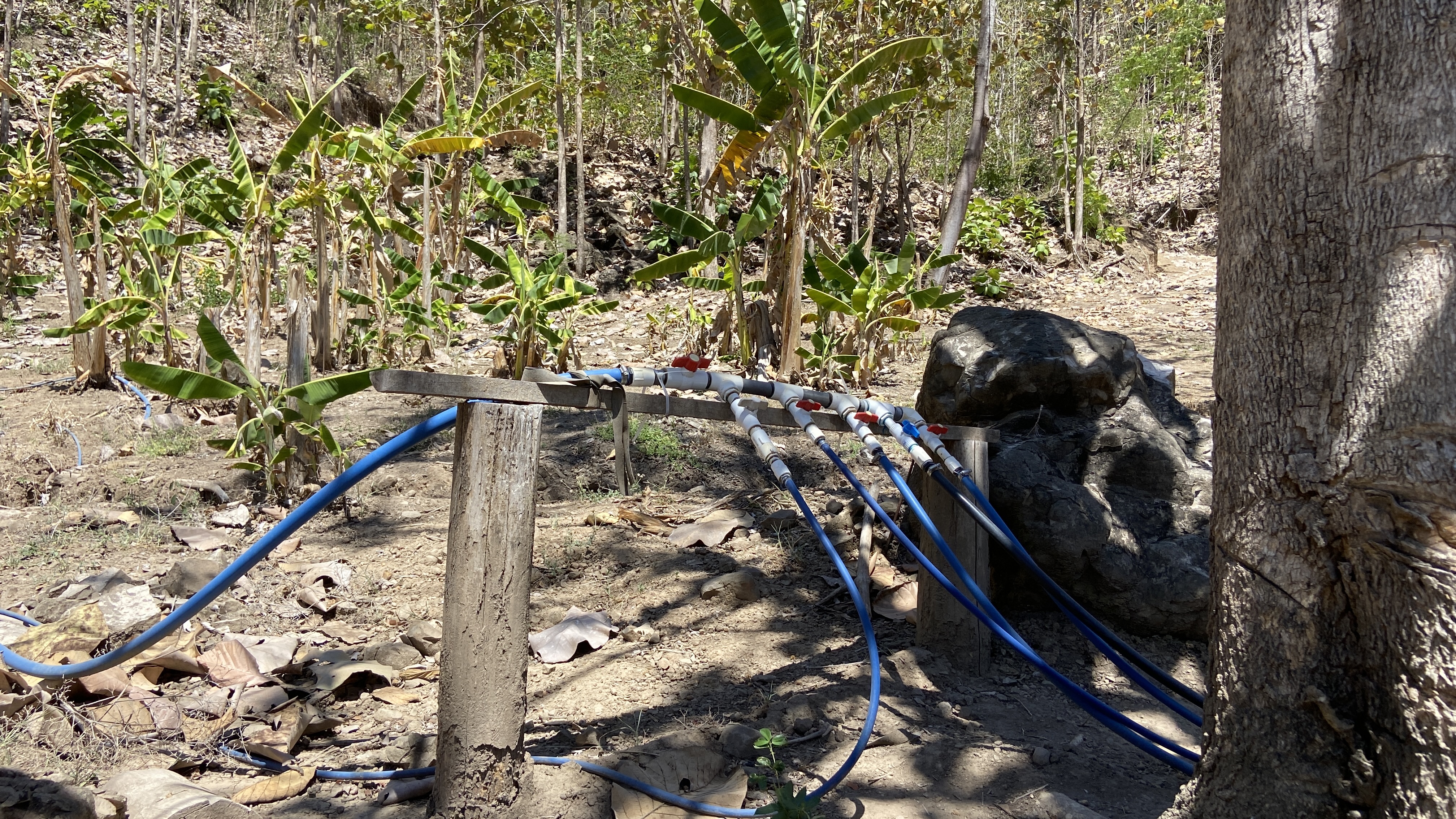 2 bed Land For Sale in Paquera, Puntarenas - thumb 17