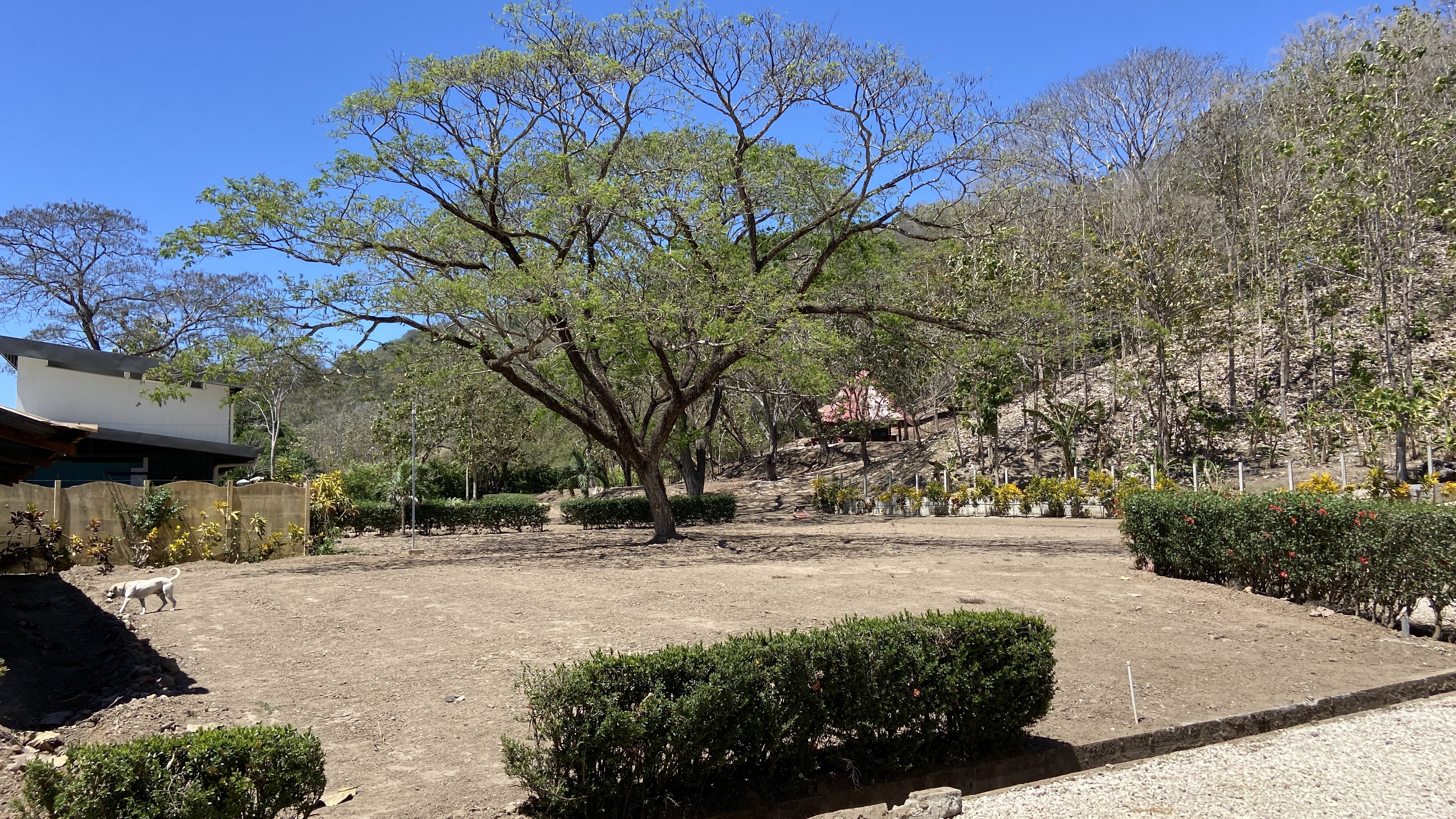 2 bed Land For Sale in Paquera, Puntarenas - thumb 12