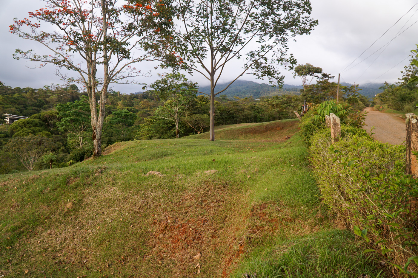 0 bed Land For Sale in Perez Zeledon, San Jose - thumb 6