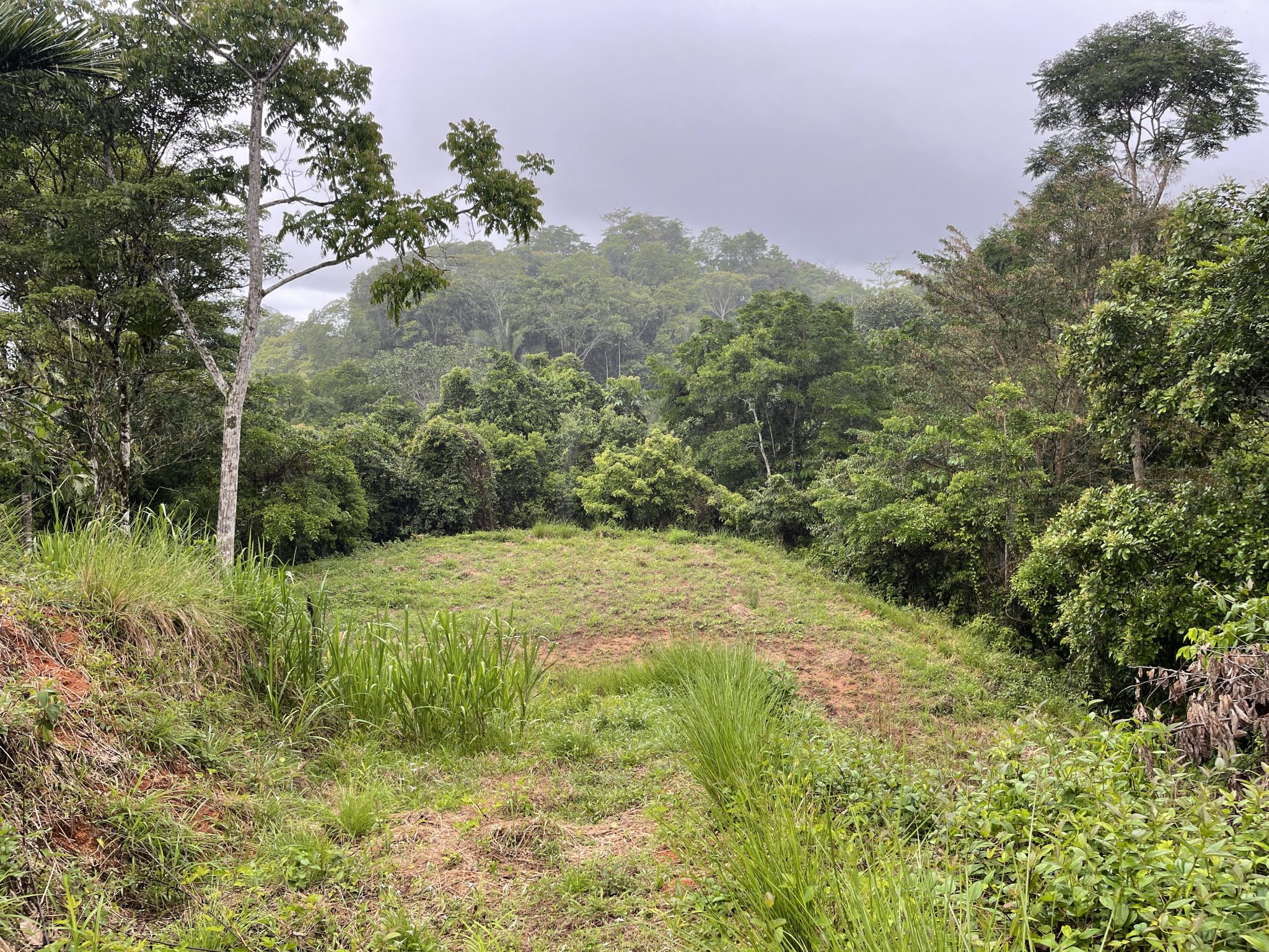 0 bed Land For Sale in Dominical, Puntarenas - thumb 7