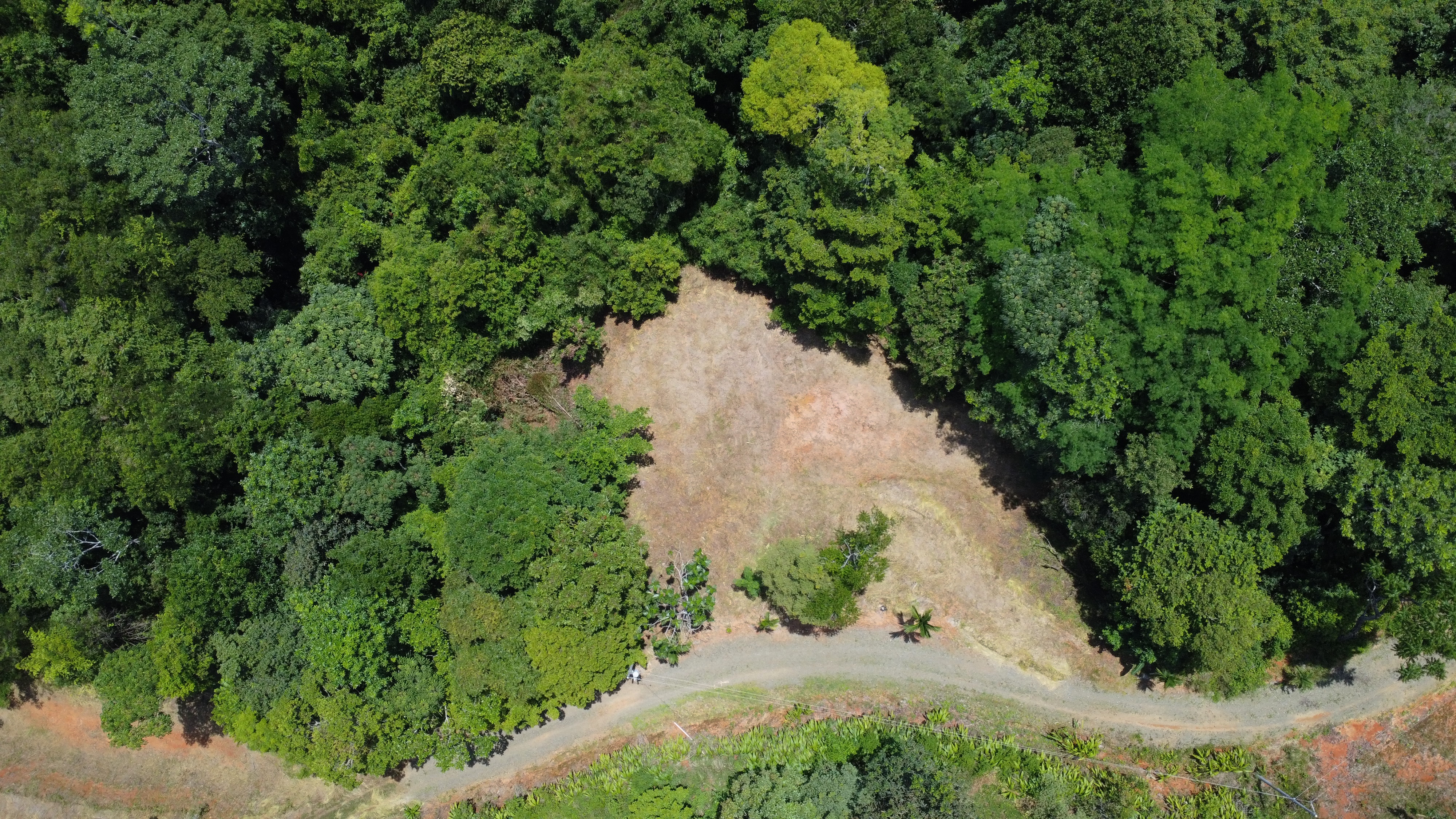 0 bed Land For Sale in Dominical, Puntarenas - thumb 16