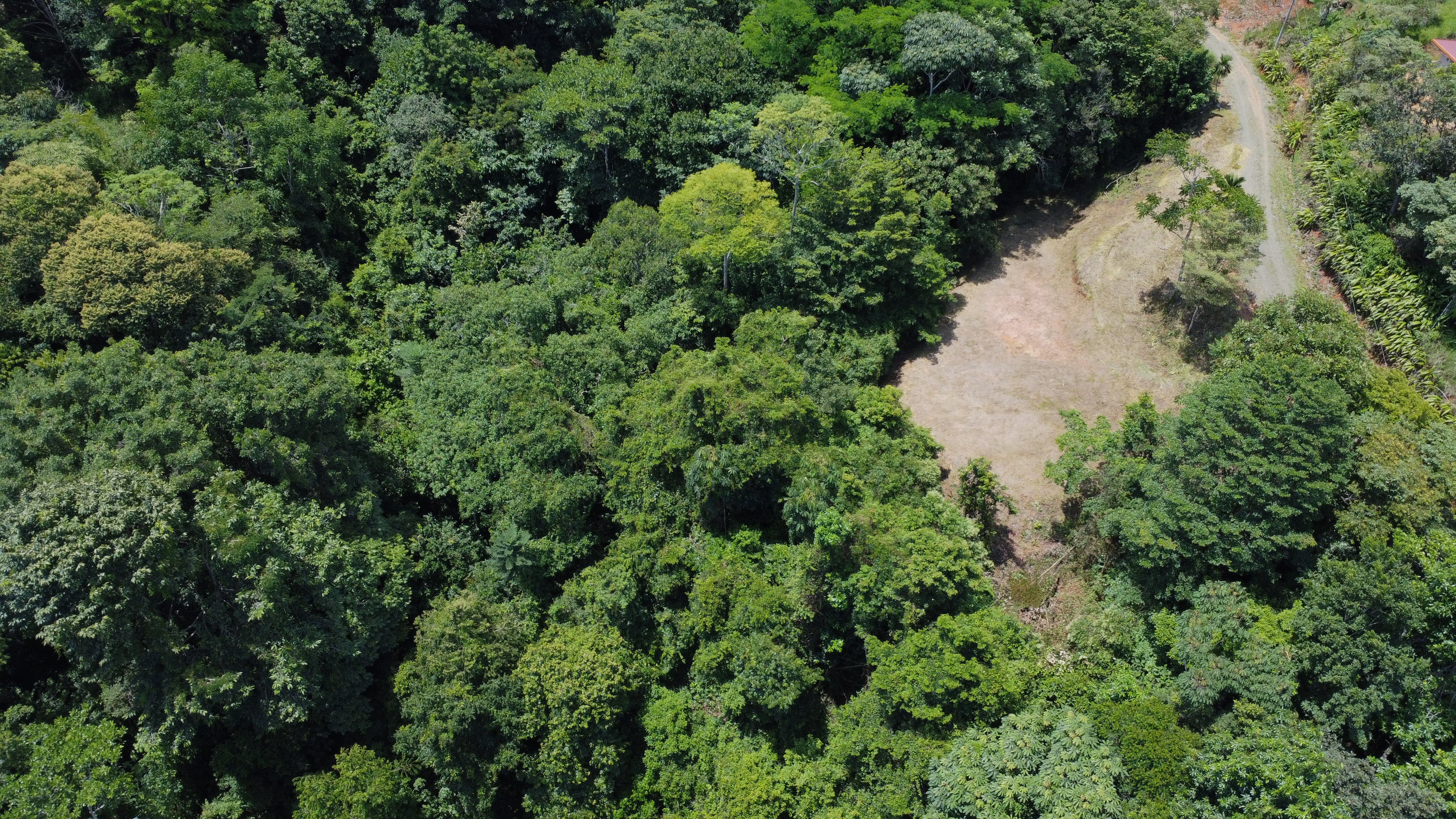 0 bed Land For Sale in Dominical, Puntarenas - thumb 15