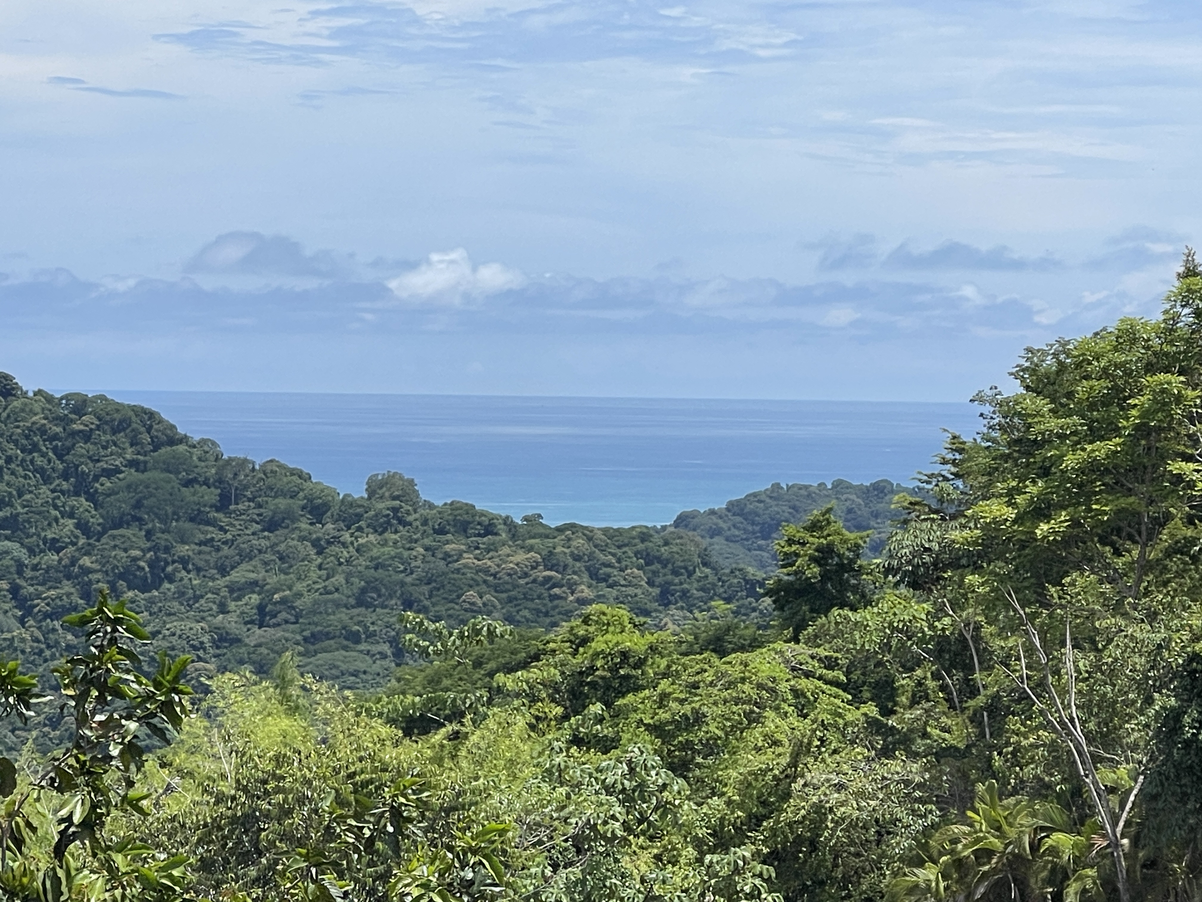 0 bed Land For Sale in Dominical, Puntarenas - thumb 12