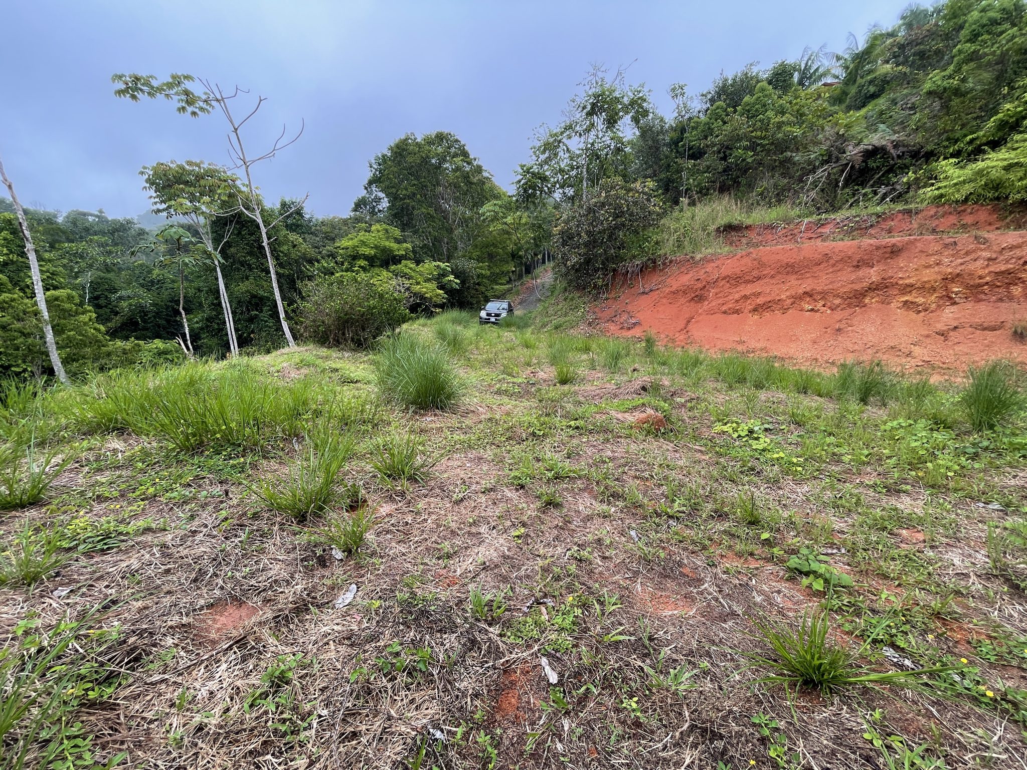 0 bed Land For Sale in Dominical, Puntarenas - thumb 3