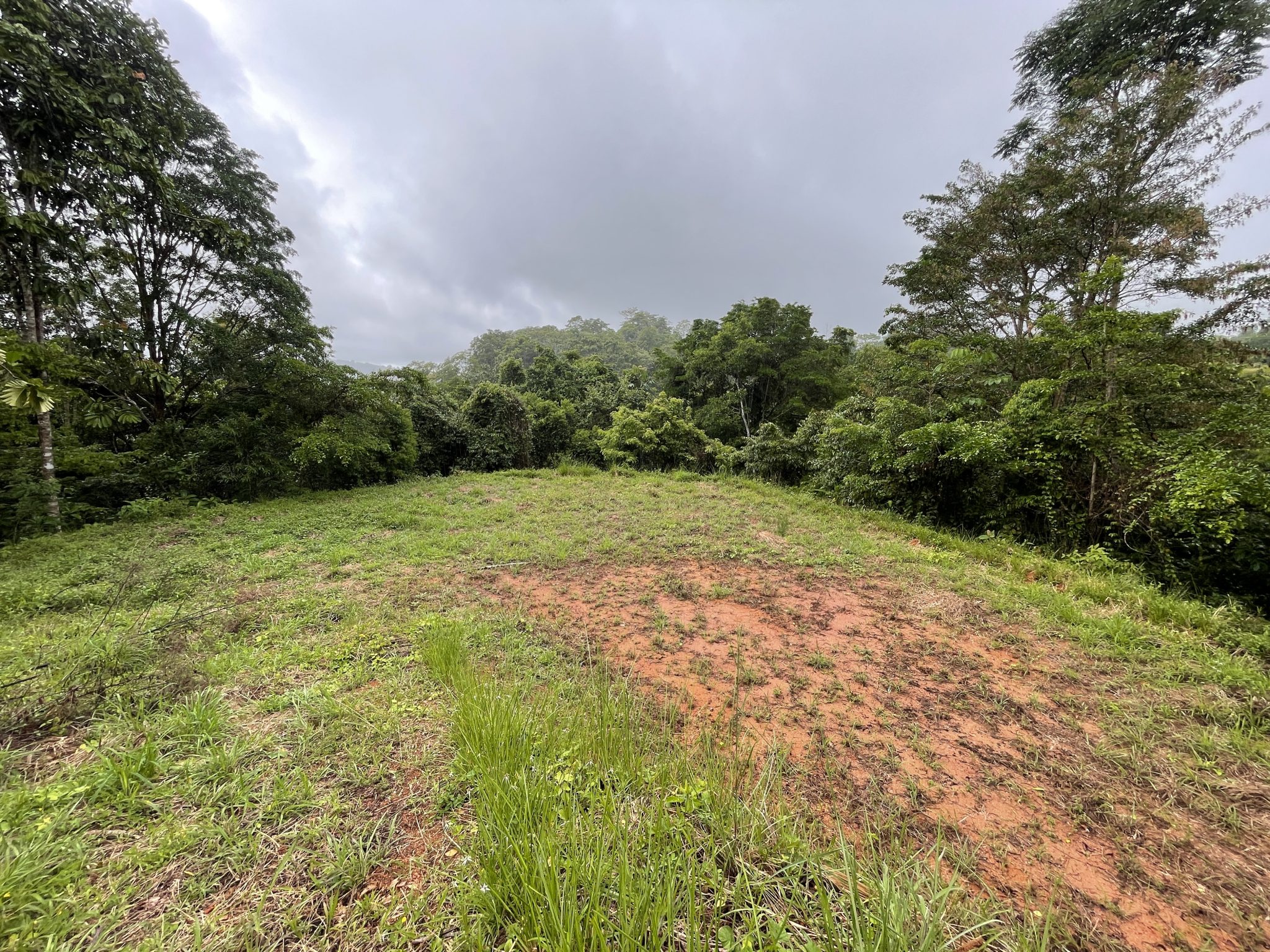 0 bed Land For Sale in Dominical, Puntarenas - thumb 8