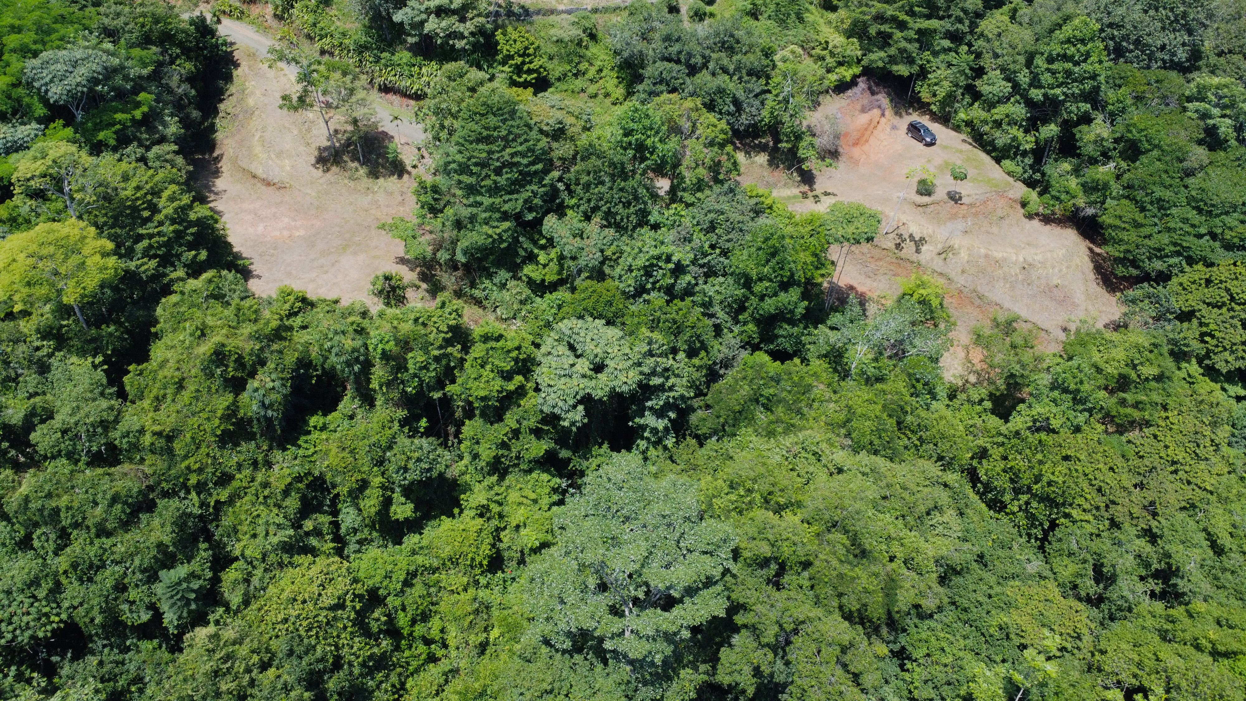 0 bed Land For Sale in Dominical, Puntarenas - thumb 10