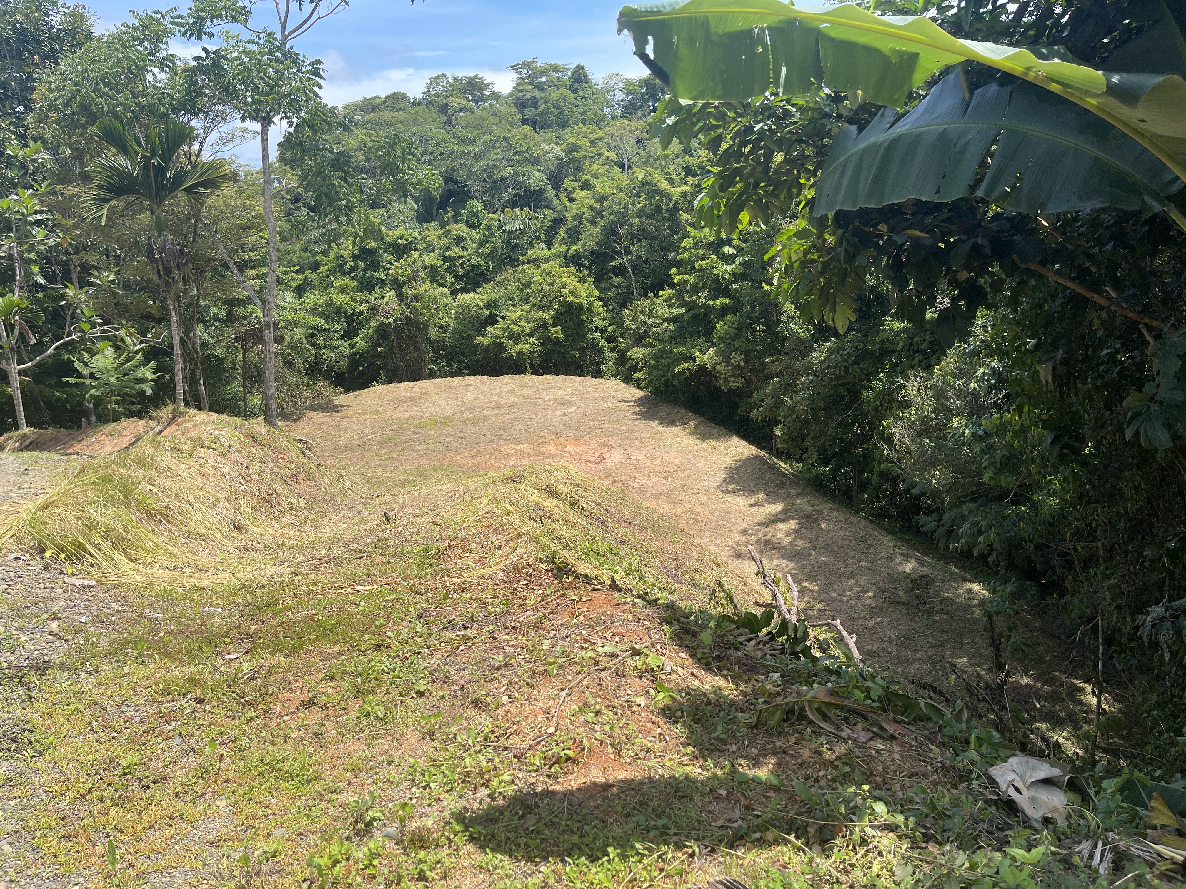 0 bed Land For Sale in Dominical, Puntarenas - thumb 13