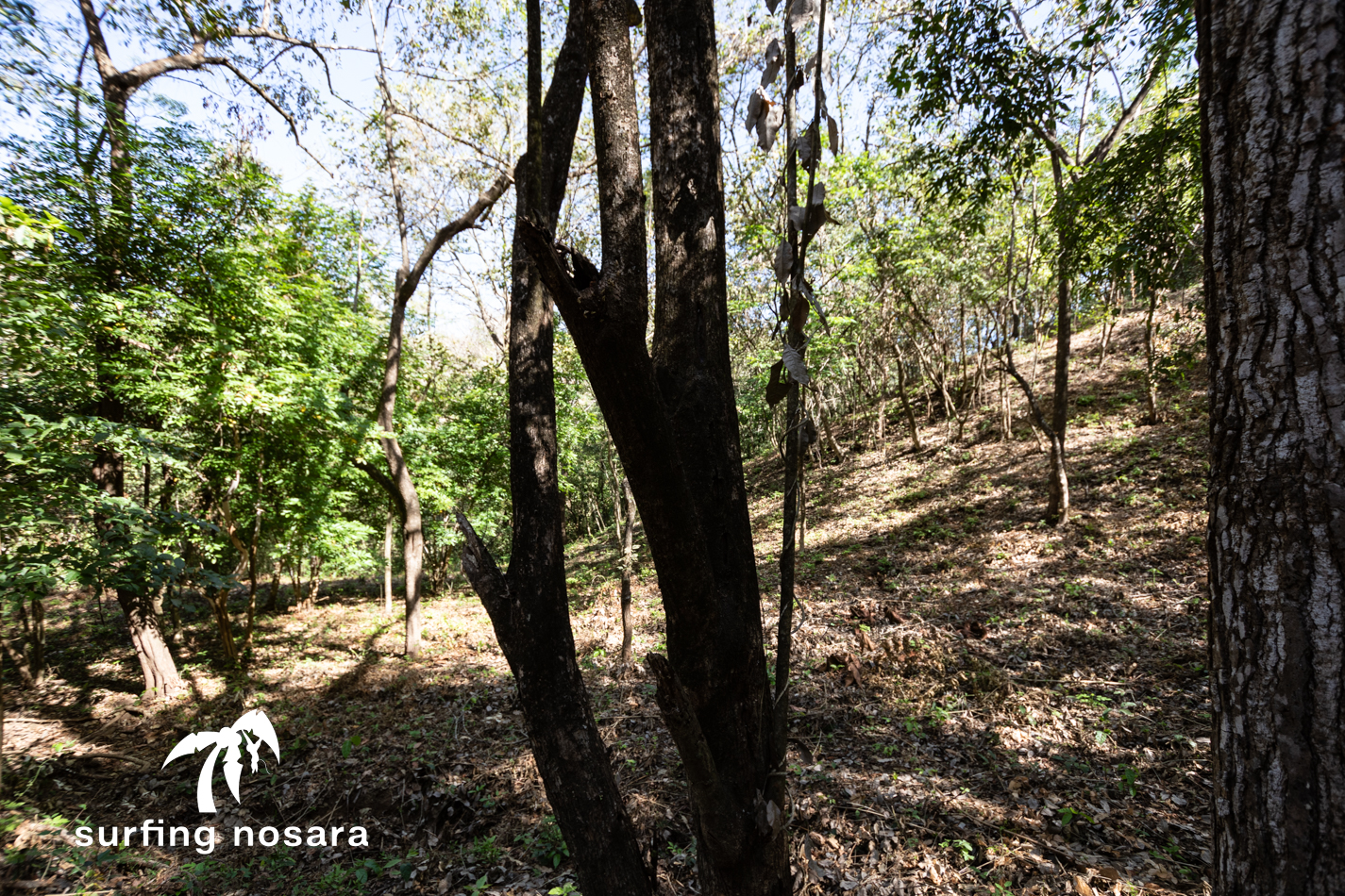 0 bed Land For Sale in Ostional, Guanacaste - thumb 8