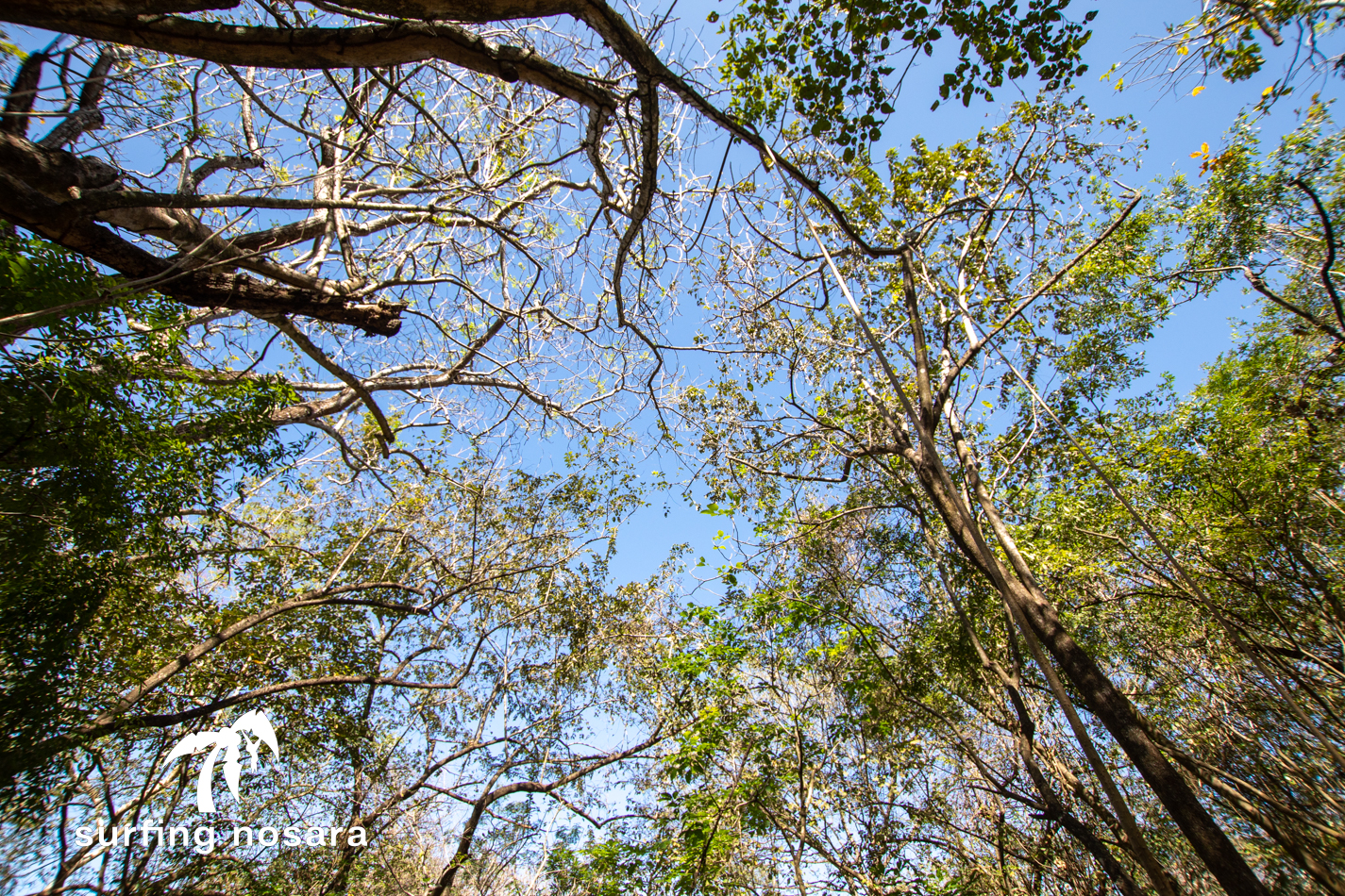 0 bed Land For Sale in Ostional, Guanacaste - thumb 5