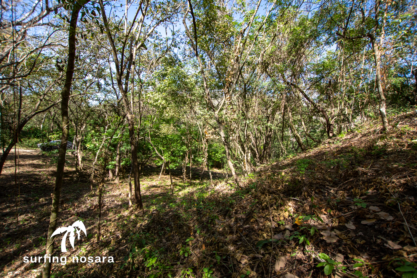 0 bed Land For Sale in Ostional, Guanacaste - thumb 6