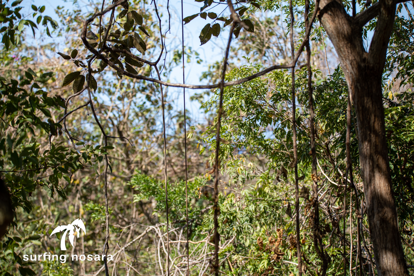 0 bed Land For Sale in Ostional, Guanacaste - thumb 2