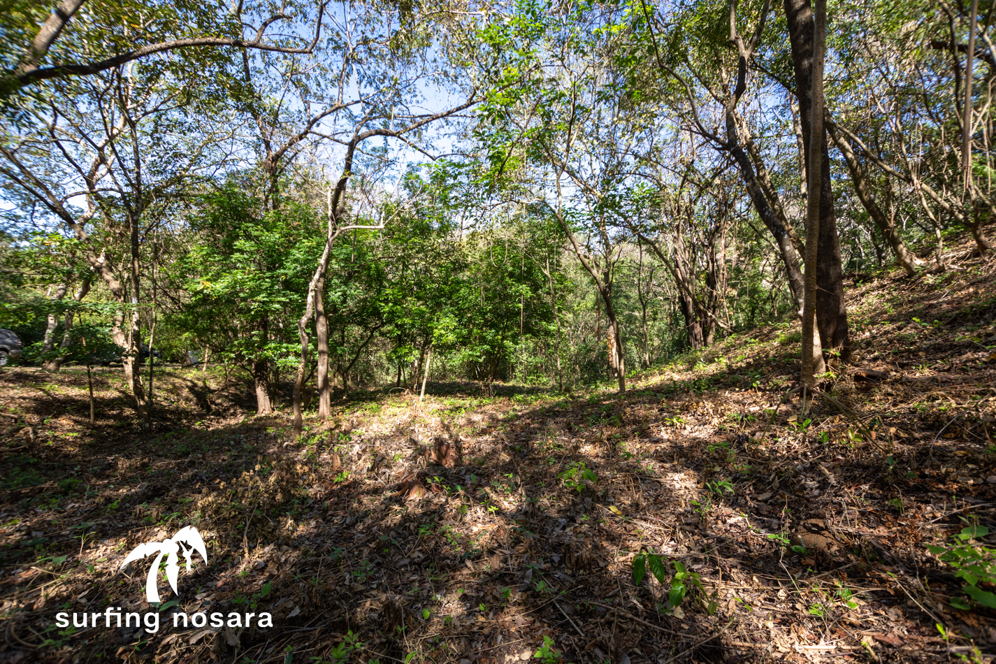 0 bed Land For Sale in Ostional, Guanacaste - thumb 7
