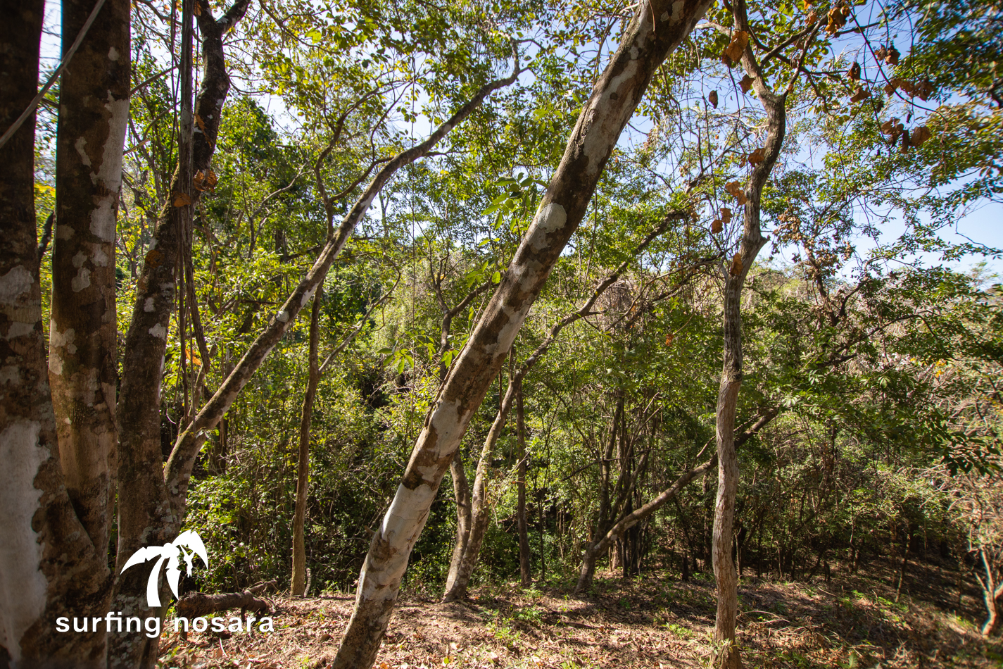 0 bed Land For Sale in Ostional, Guanacaste - thumb 3