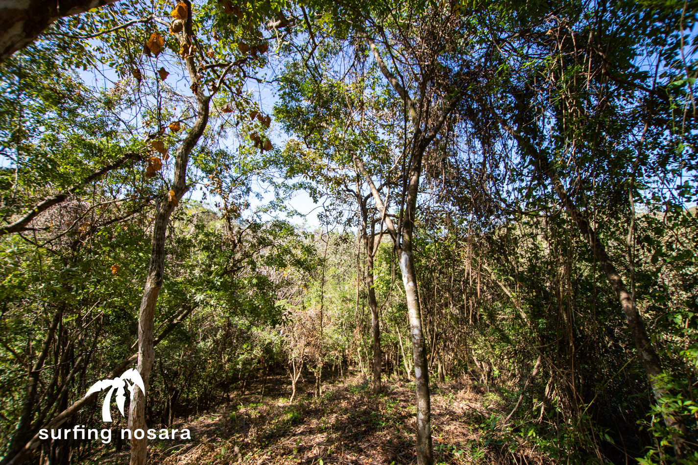 0 bed Land For Sale in Ostional, Guanacaste - thumb 4