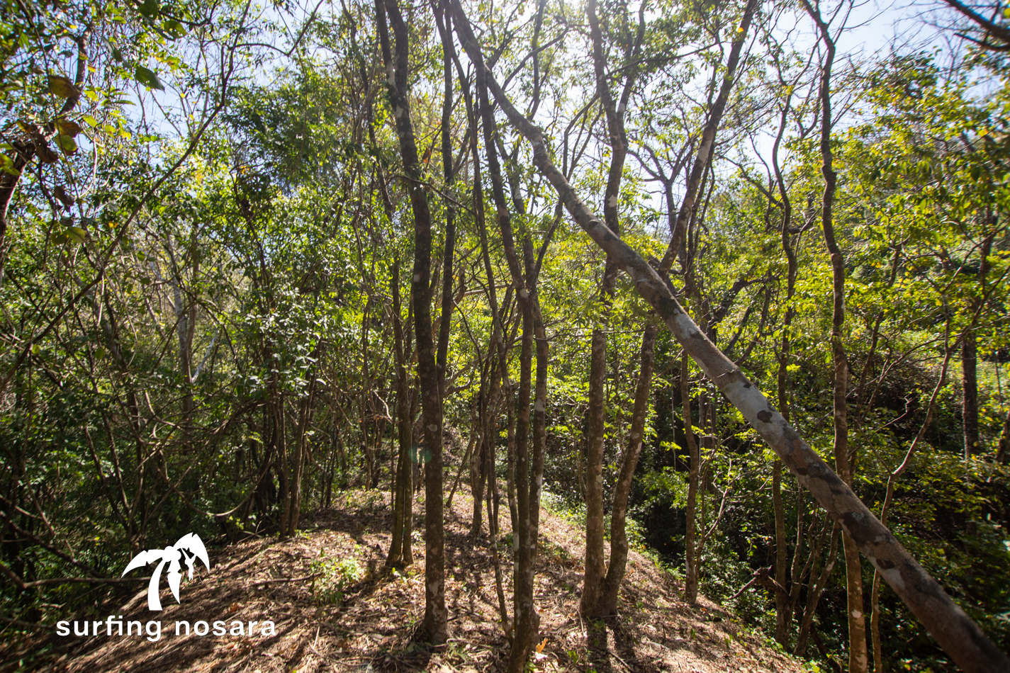 0 bed Land For Sale in Ostional, Guanacaste - thumb 1