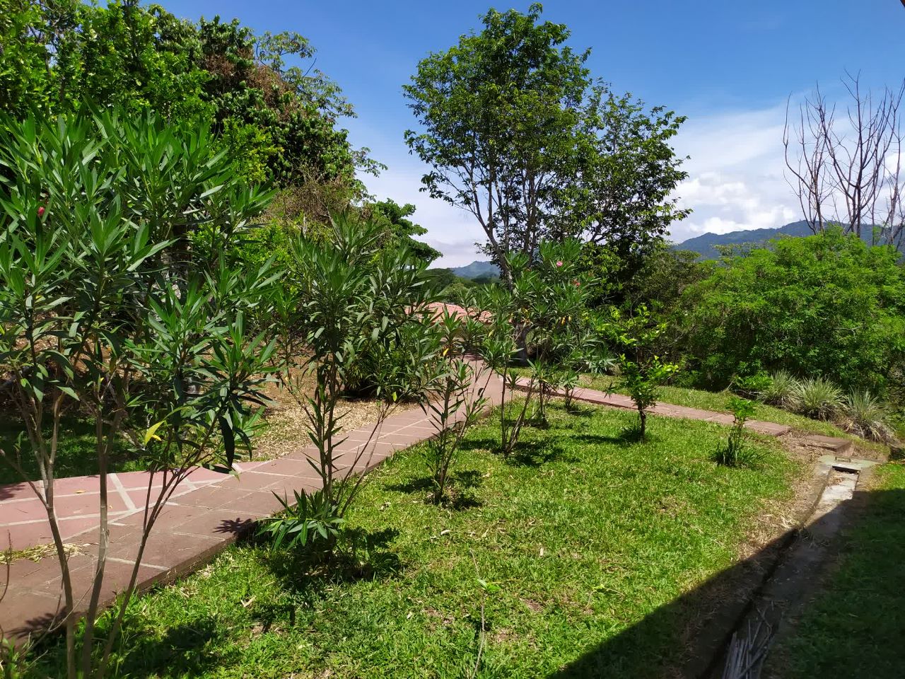 4 bed Single Family Homes For Sale in Atenas, Alajuela - thumb 14