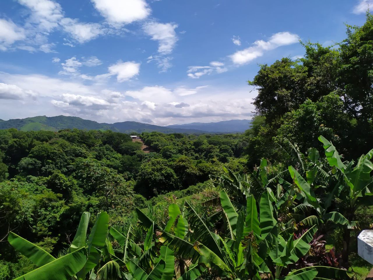 4 bed Single Family Homes For Sale in Atenas, Alajuela - thumb 2