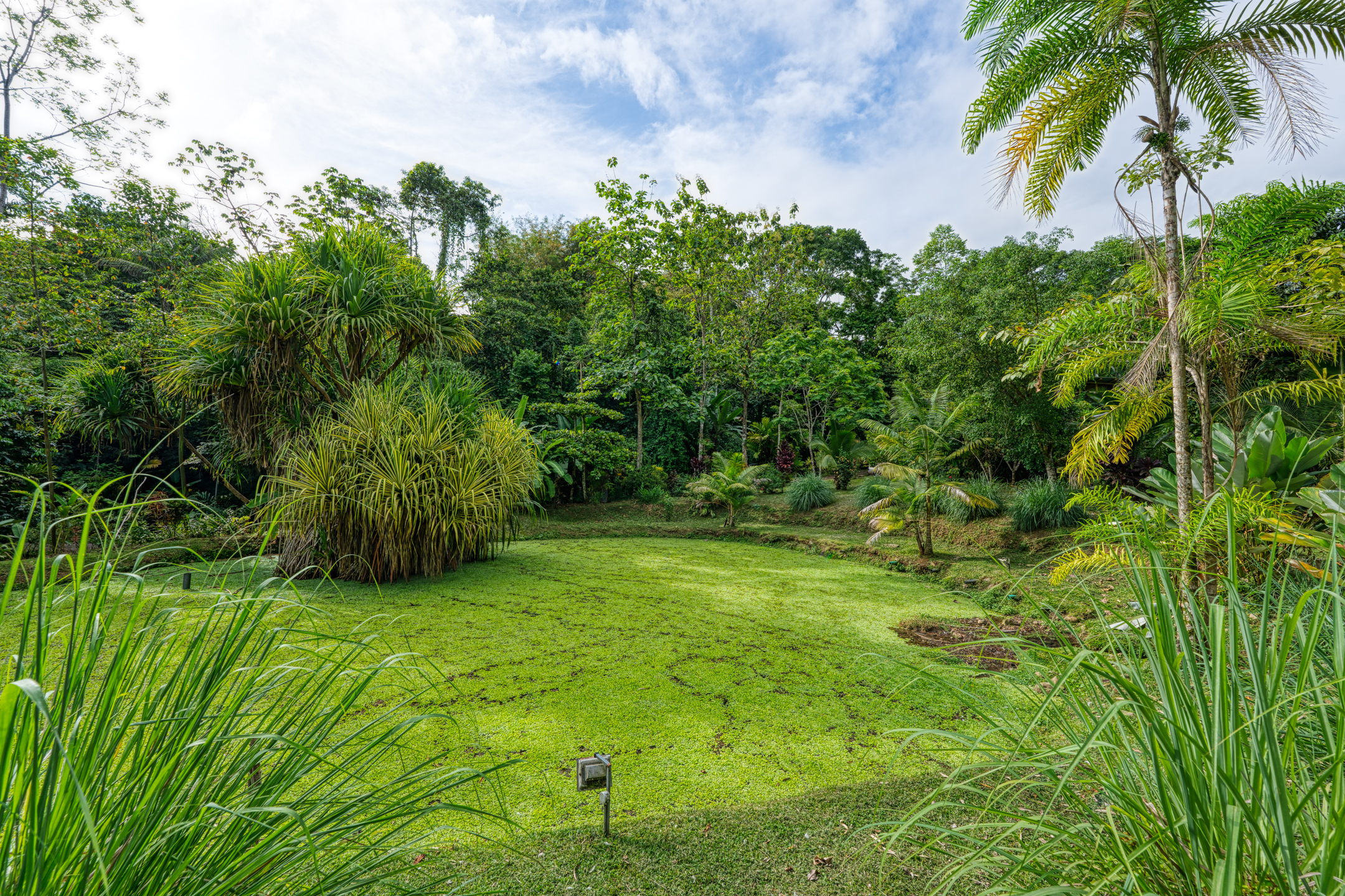 16 bed Hotel / Leisure For Sale in Dominical, Puntarenas - thumb 26