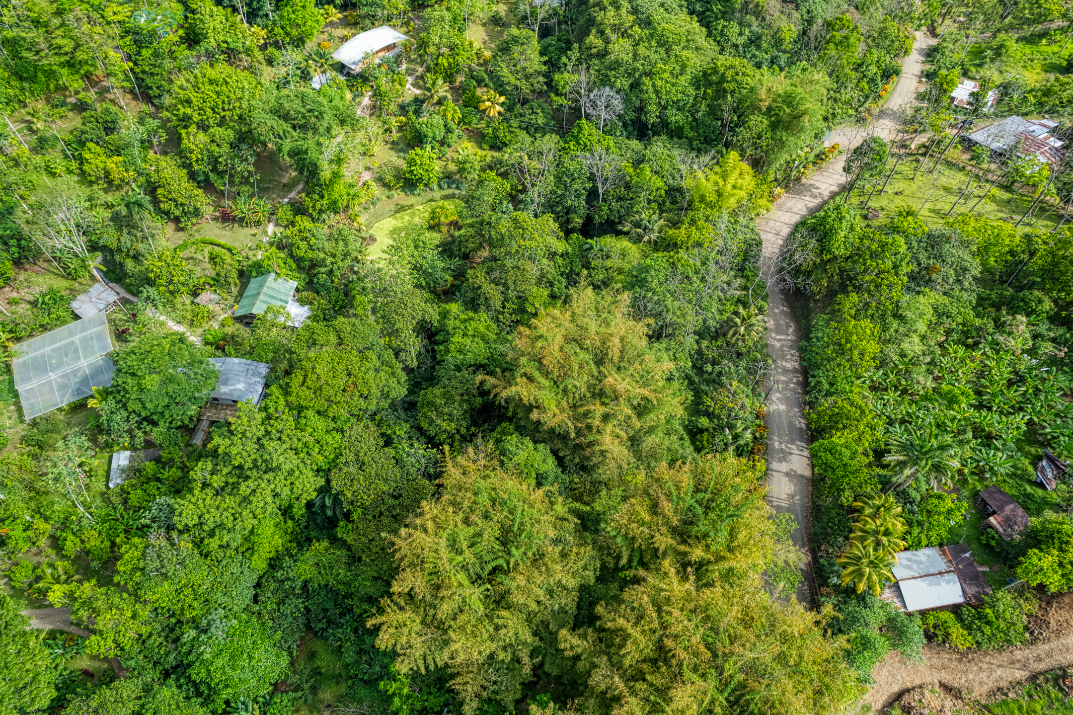 16 bed Hotel / Leisure For Sale in Dominical, Puntarenas - thumb 22