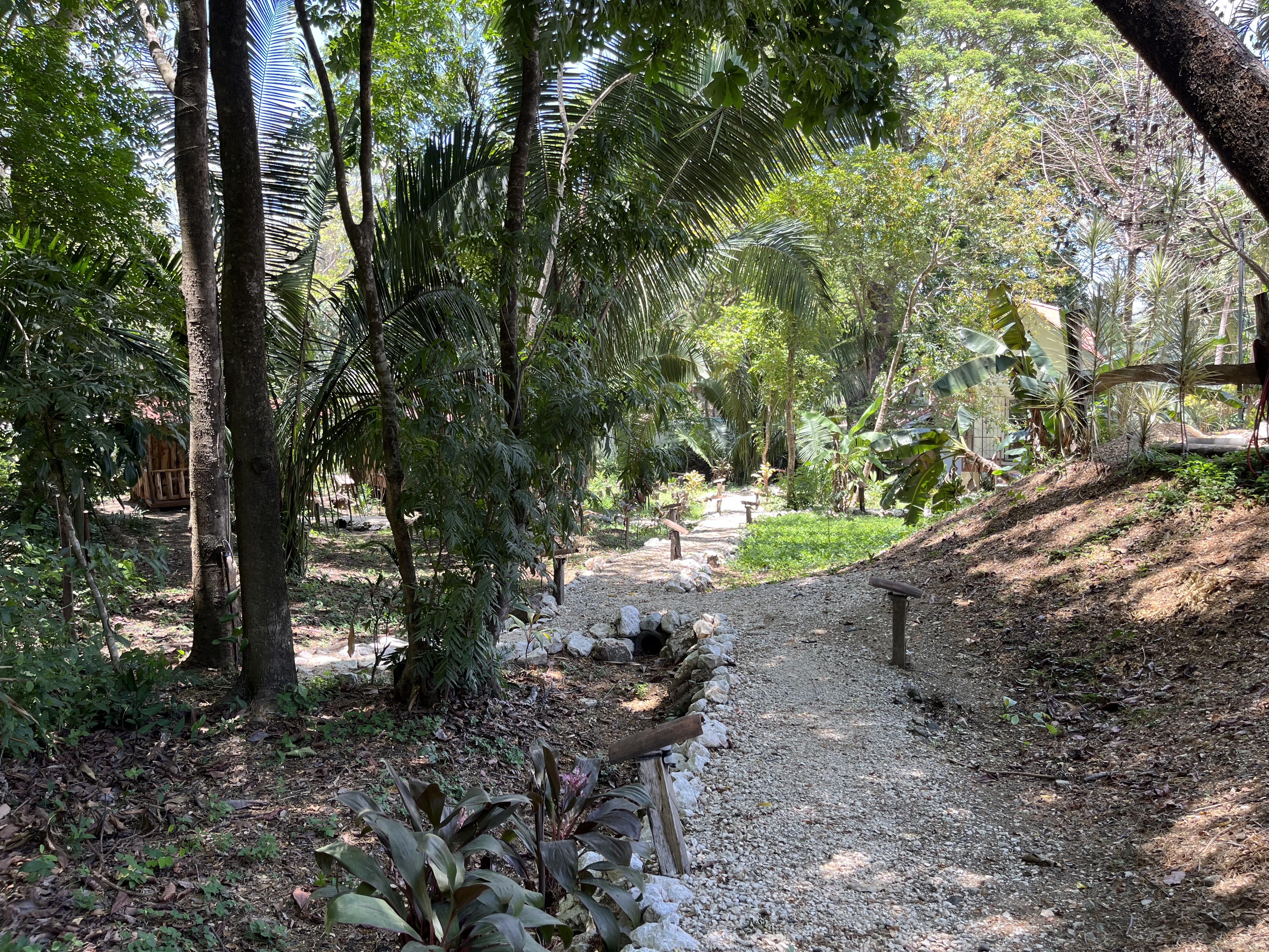 8 bed Single Family Homes For Sale in Samara, Guanacaste - thumb 4