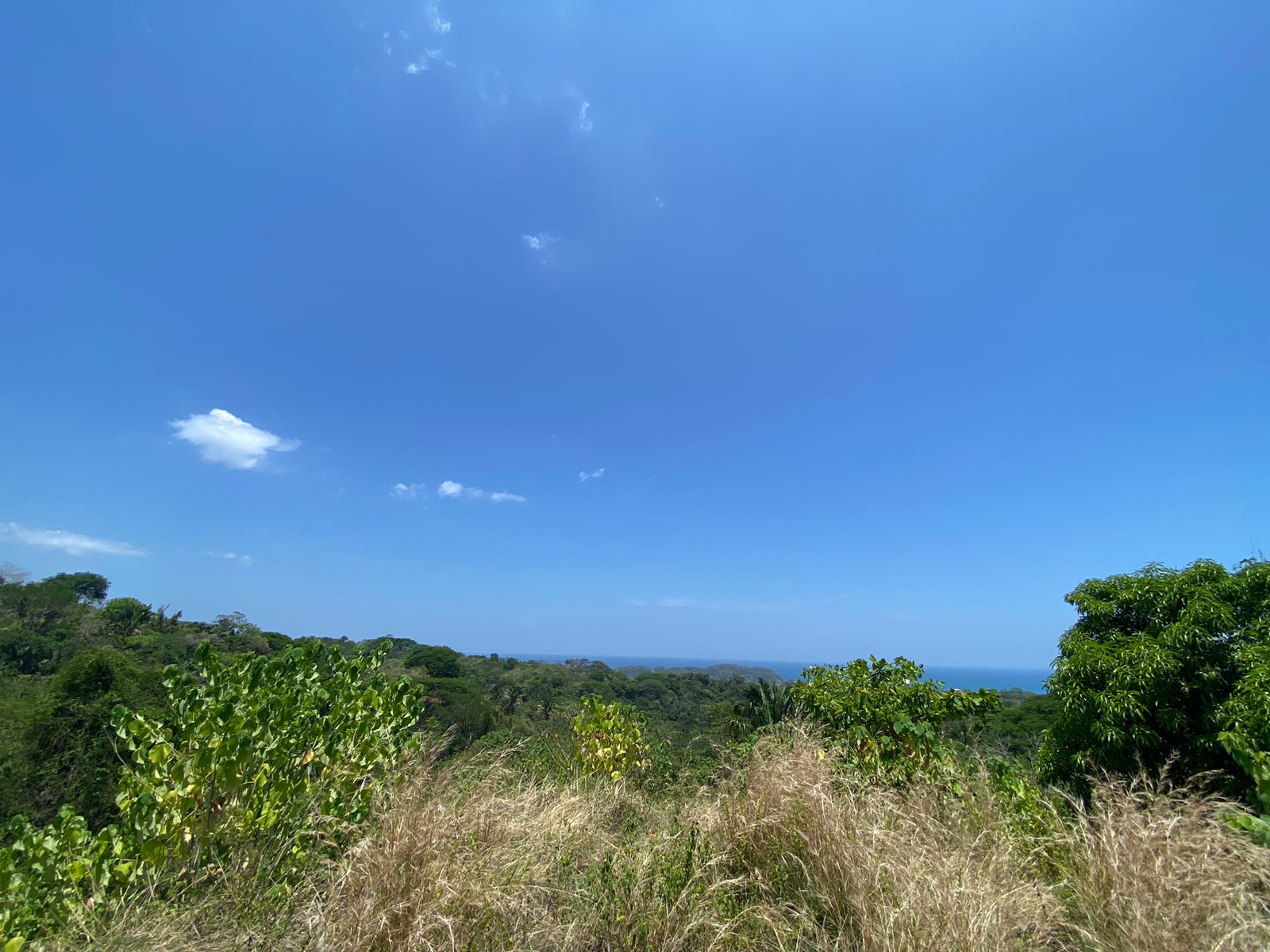 0 bed Land For Sale in Samara, Guanacaste - thumb 8