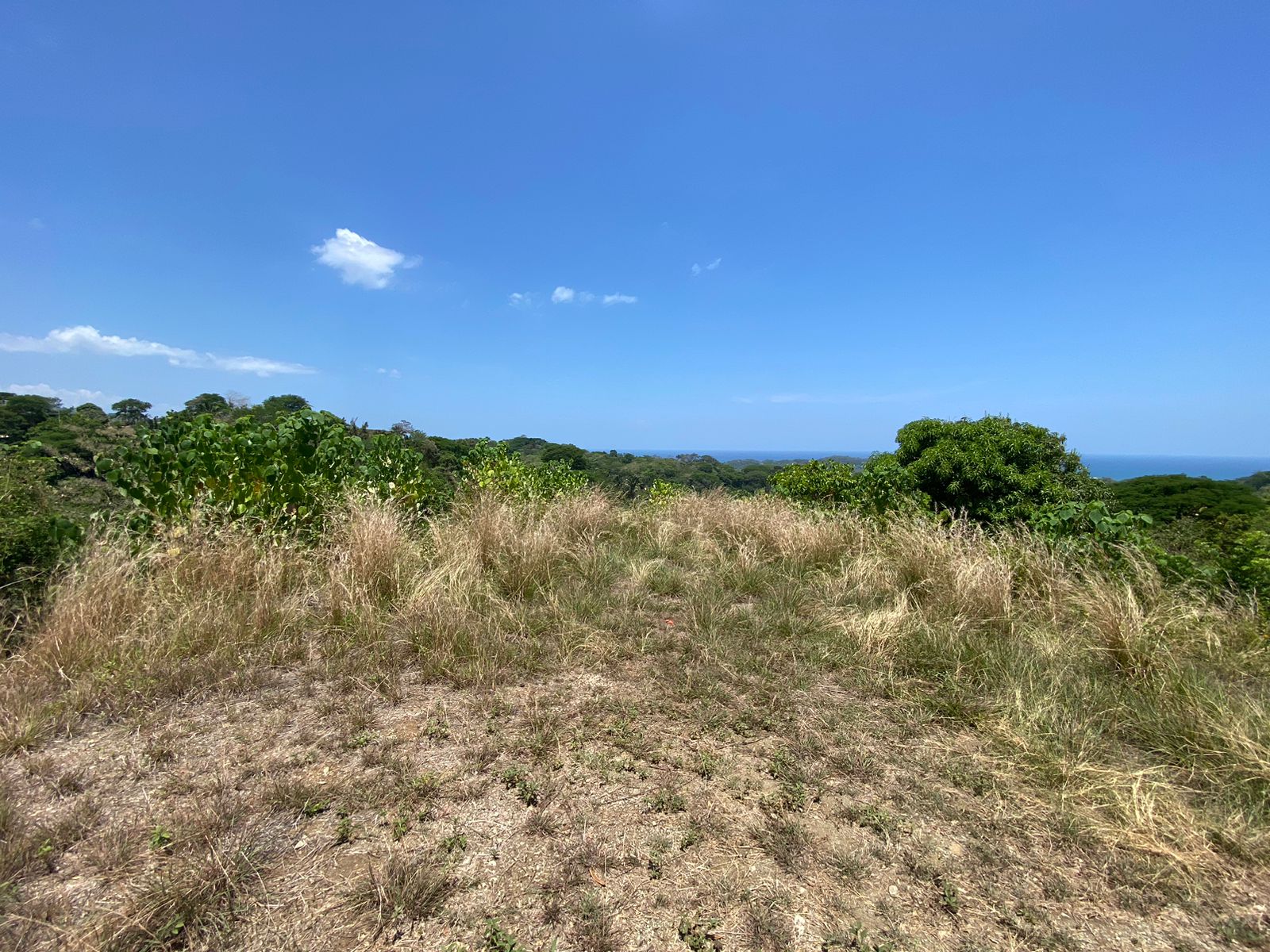 0 bed Land For Sale in Samara, Guanacaste - thumb 6