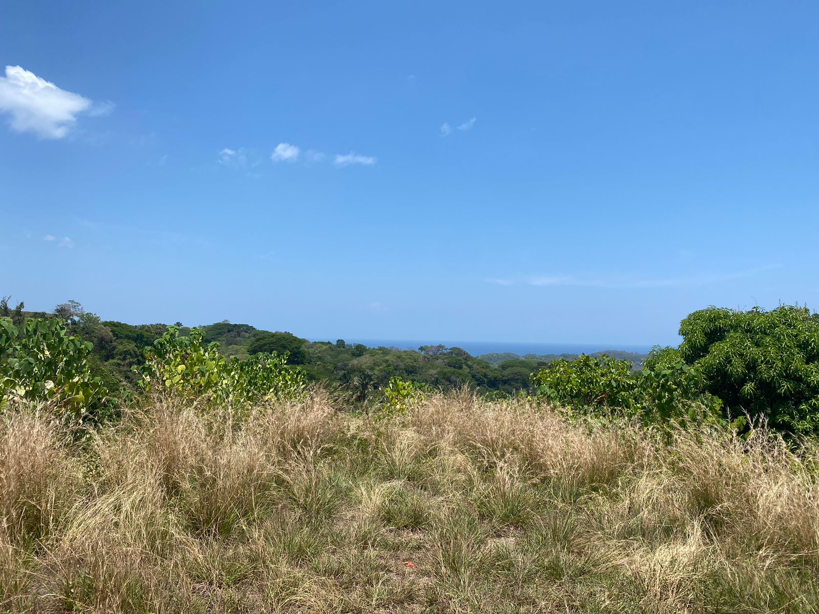 0 bed Land For Sale in Samara, Guanacaste - thumb 7