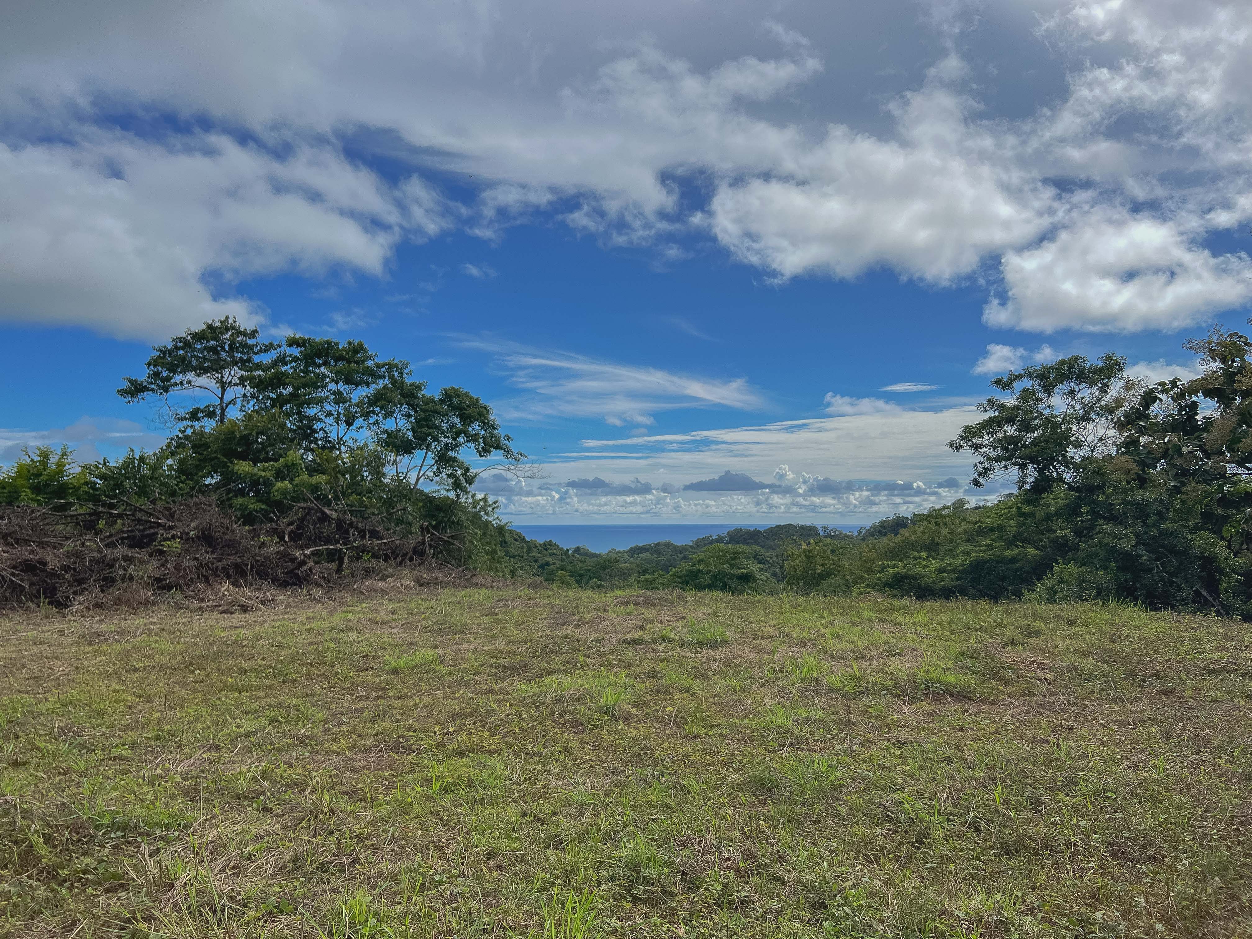 0 bed Land For Sale in Santiago, Puntarenas - thumb 2