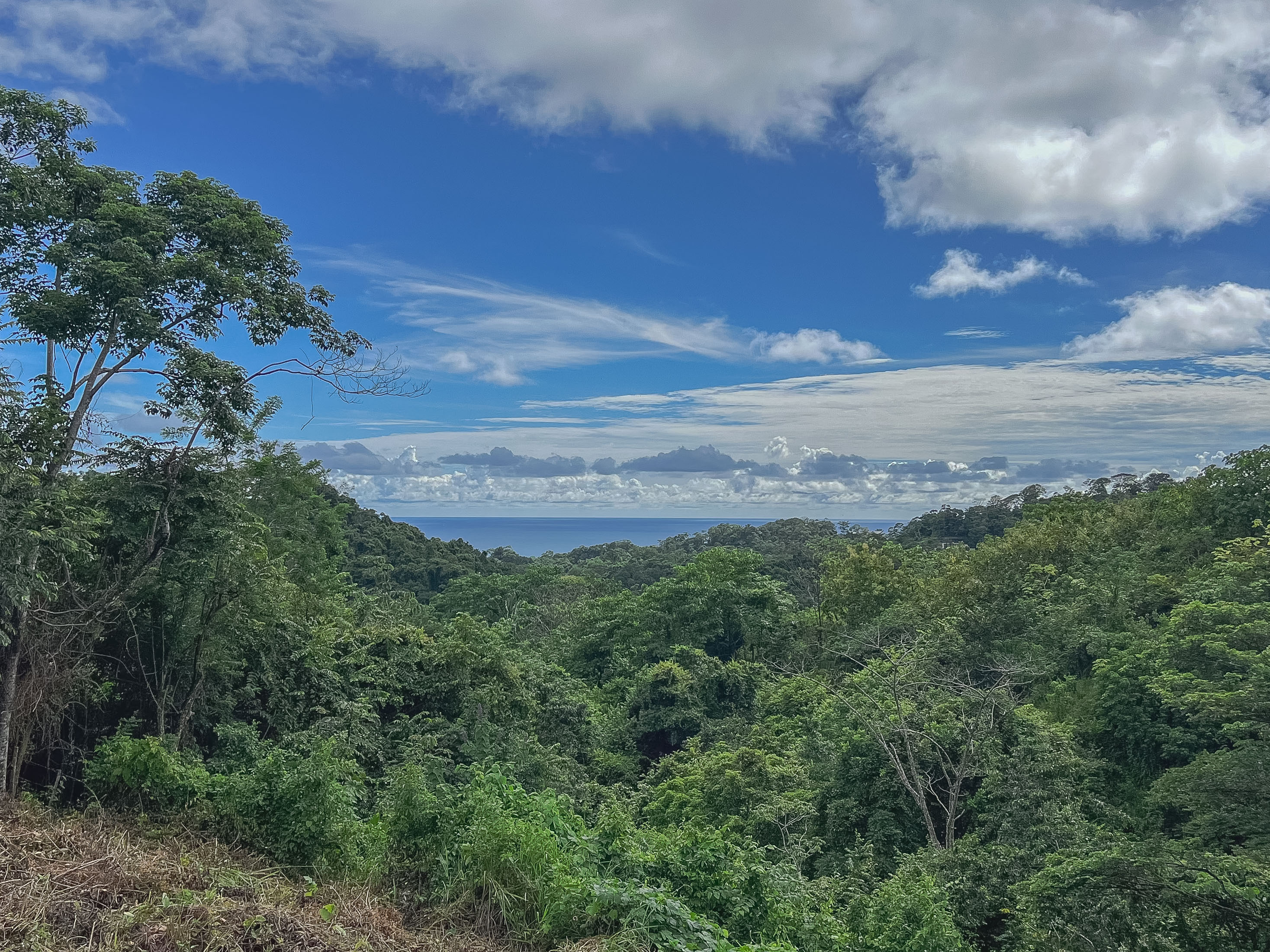 0 bed Land For Sale in Santiago, Puntarenas - thumb 14