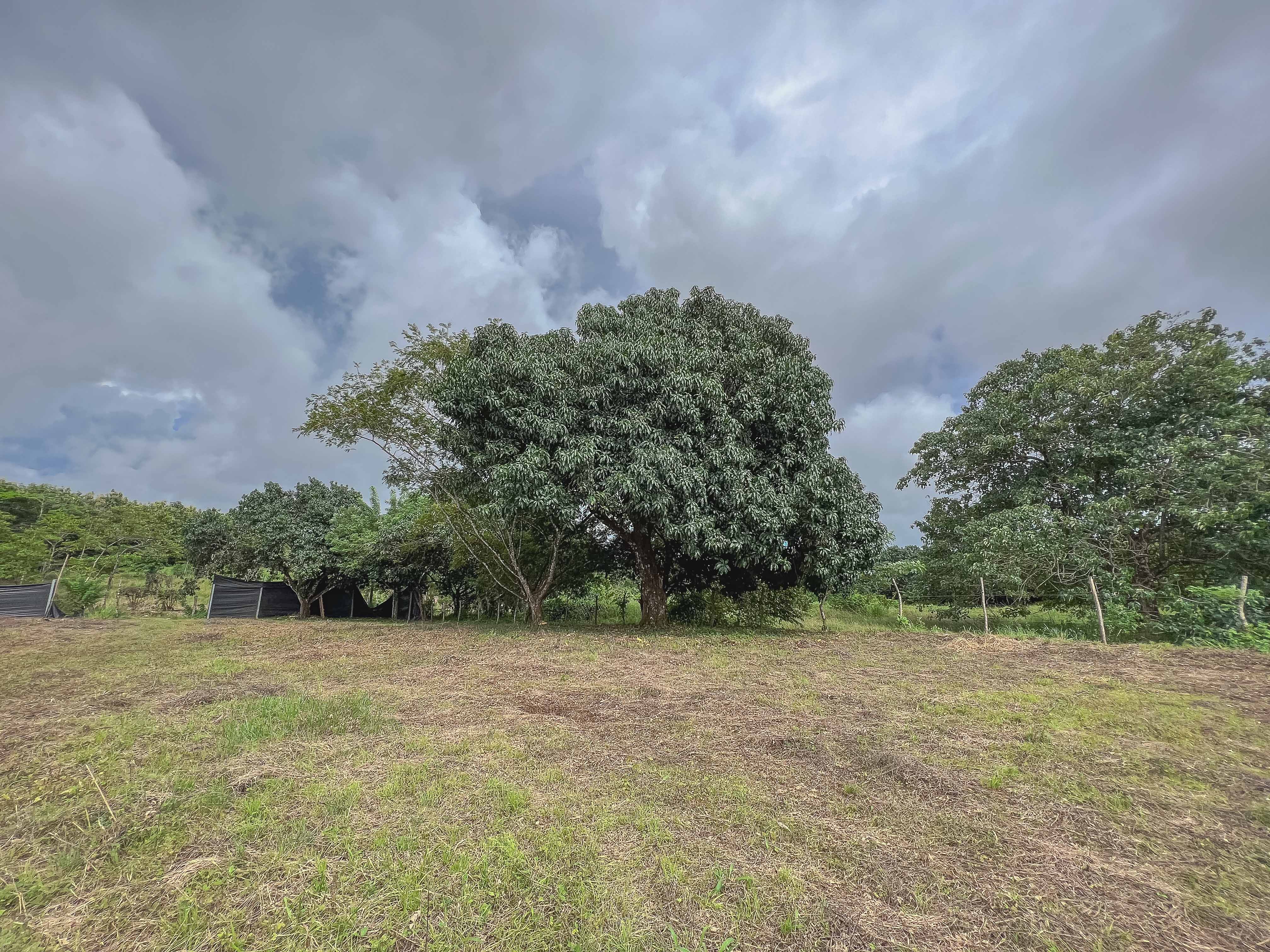 0 bed Land For Sale in Santiago, Puntarenas - thumb 8