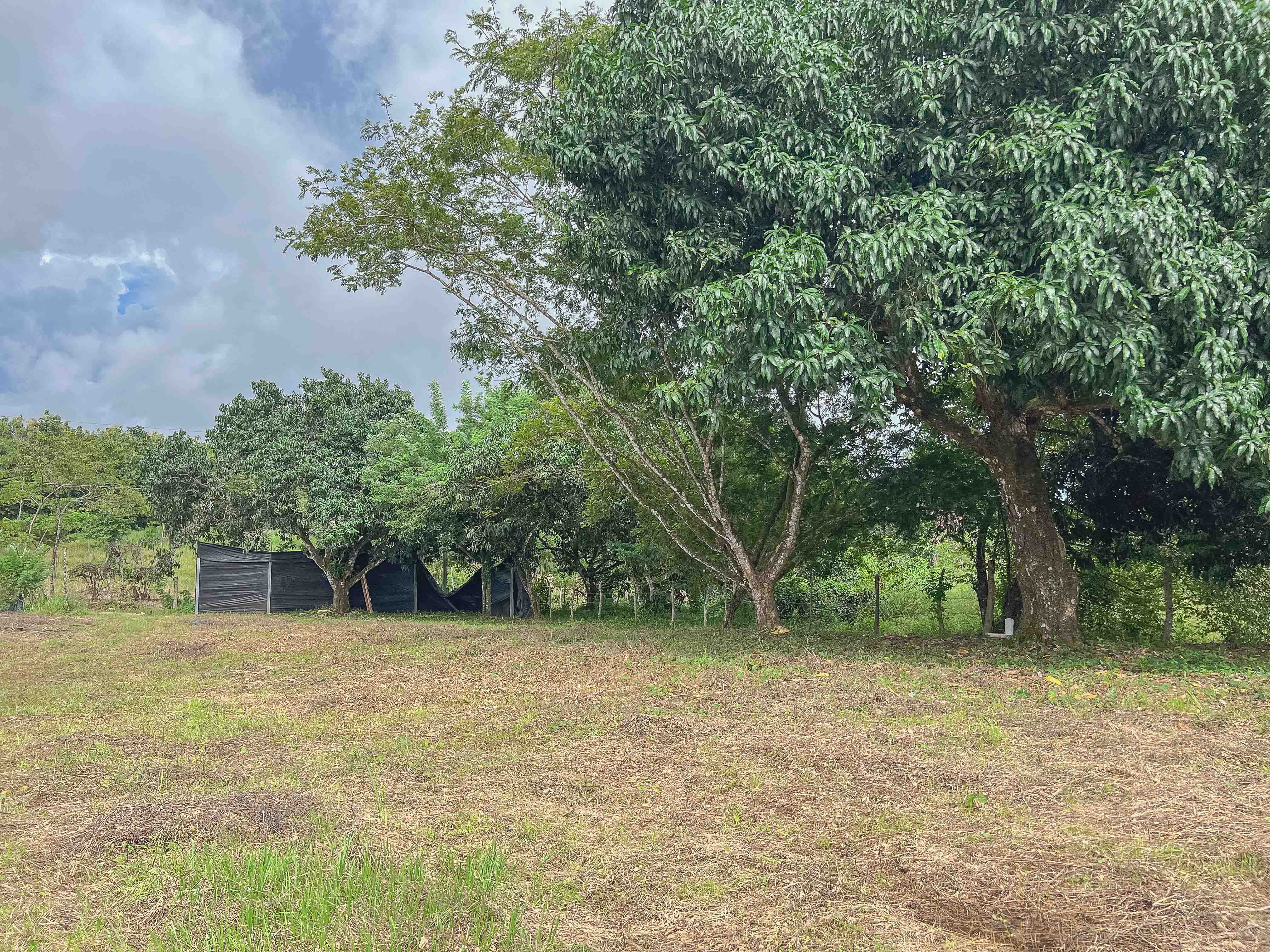 0 bed Land For Sale in Santiago, Puntarenas - thumb 11