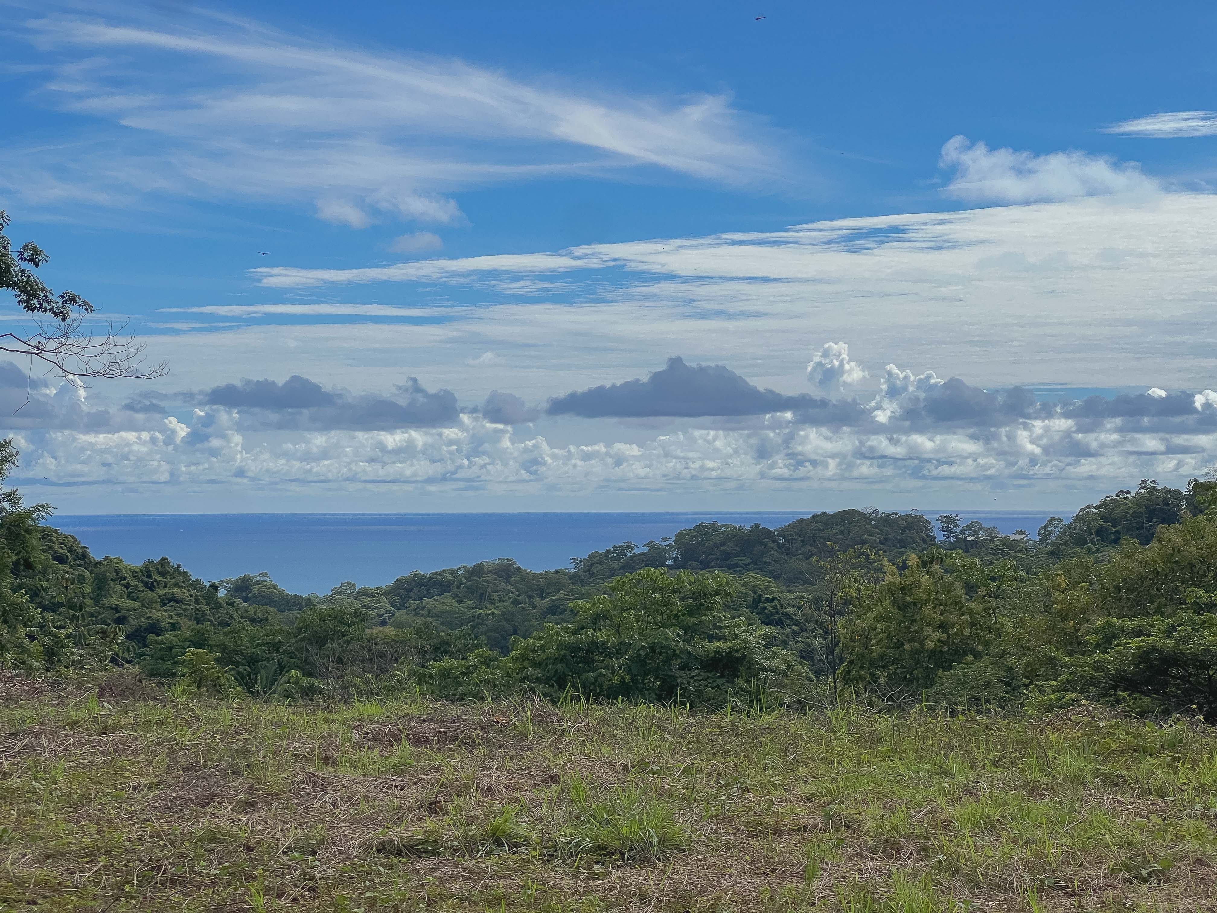 0 bed Land For Sale in Santiago, Puntarenas - thumb 1