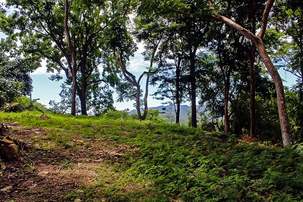 0 bed Land For Sale in Santa Teresa, Puntarenas - thumb 6