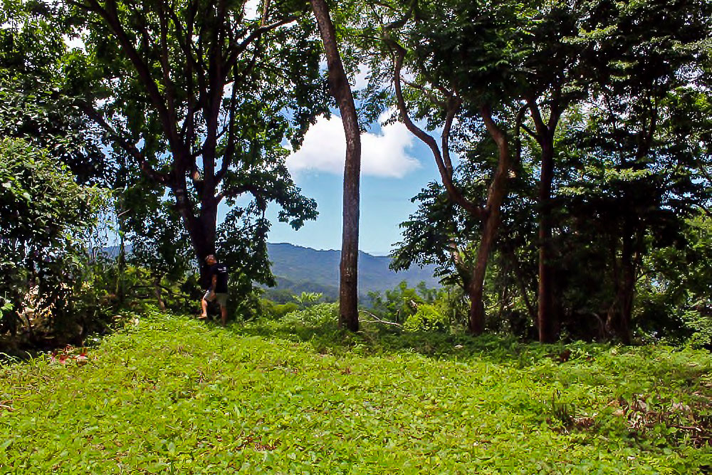 0 bed Land For Sale in Santa Teresa, Puntarenas - thumb 2