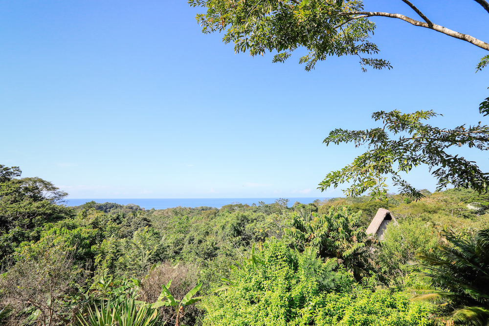 5 bed Single Family Homes For Sale in Manzanillo, Puntarenas - thumb 3