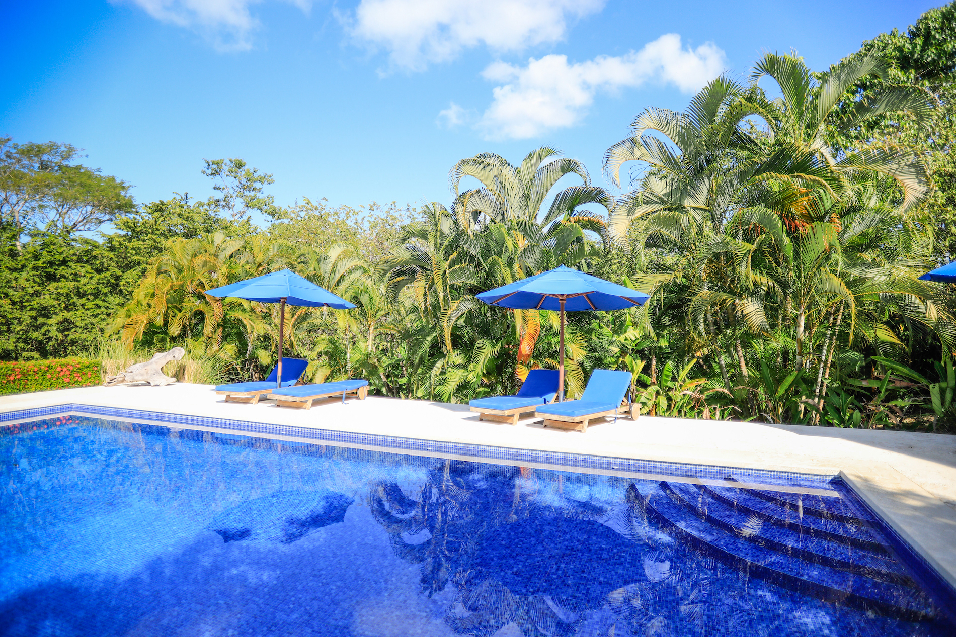 5 bed Single Family Homes For Sale in Manzanillo, Puntarenas - thumb 9