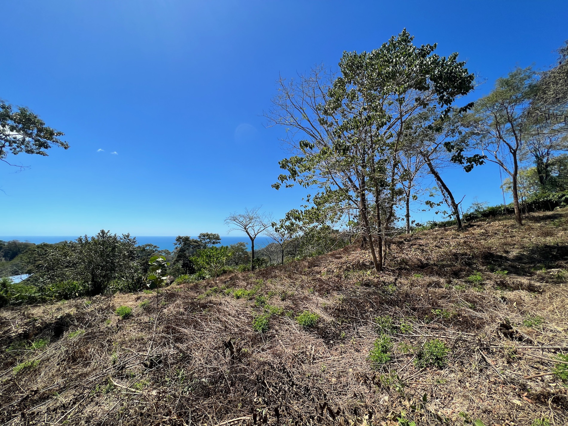 0 bed Land For Sale in Santa Teresa, Puntarenas - thumb 3