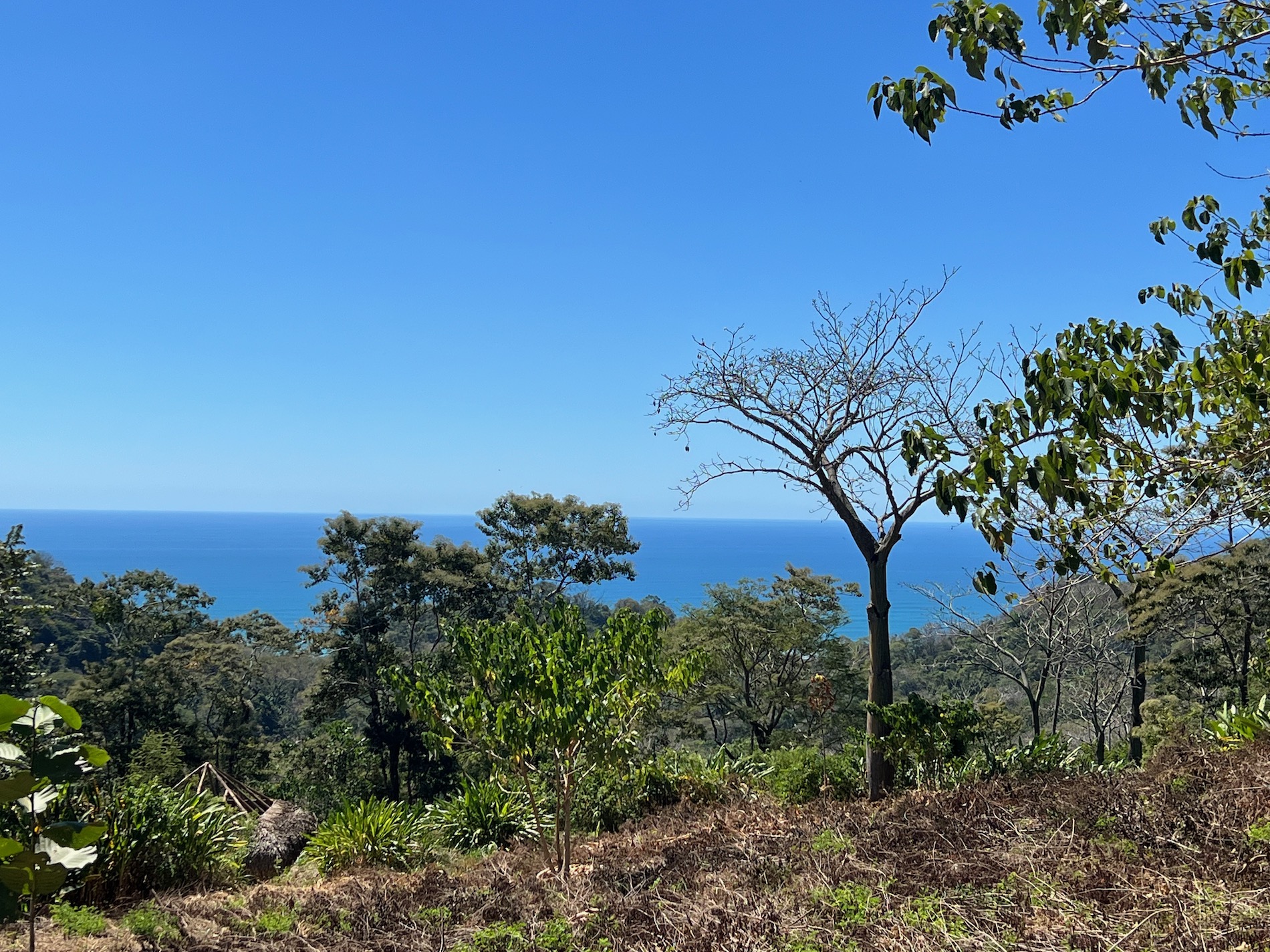 0 bed Land For Sale in Santa Teresa, Puntarenas - thumb 1