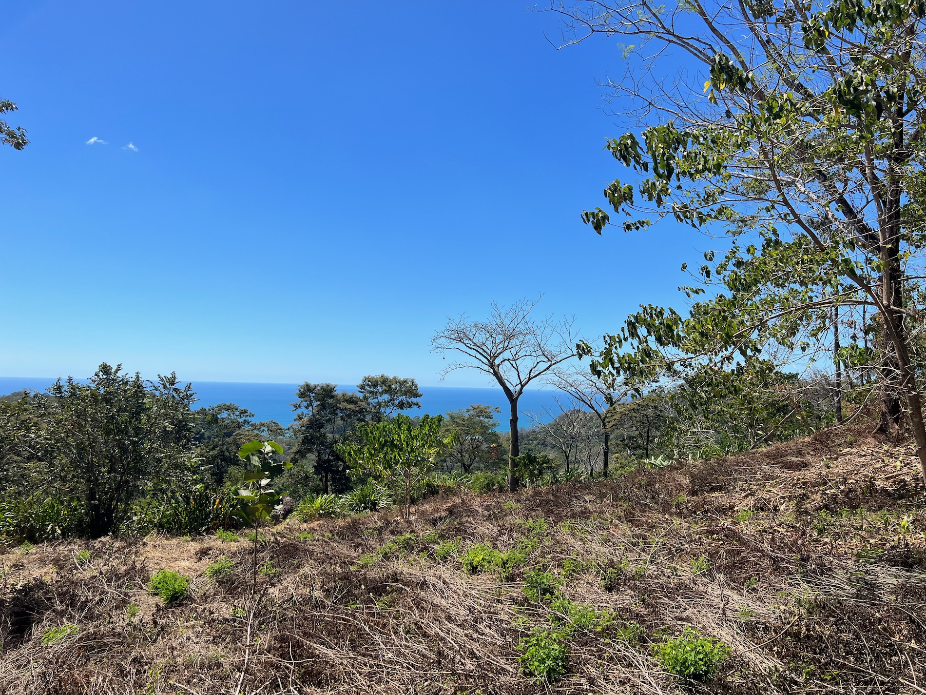 0 bed Land For Sale in Santa Teresa, Puntarenas - thumb 4