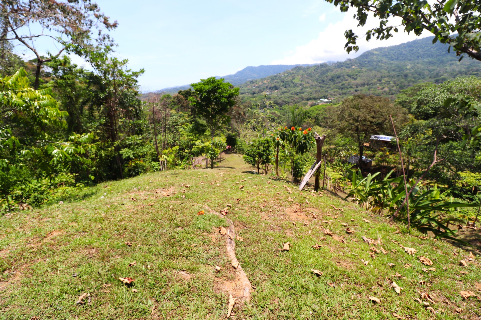 4 bed Land For Sale in Uvita, Puntarenas - thumb 20
