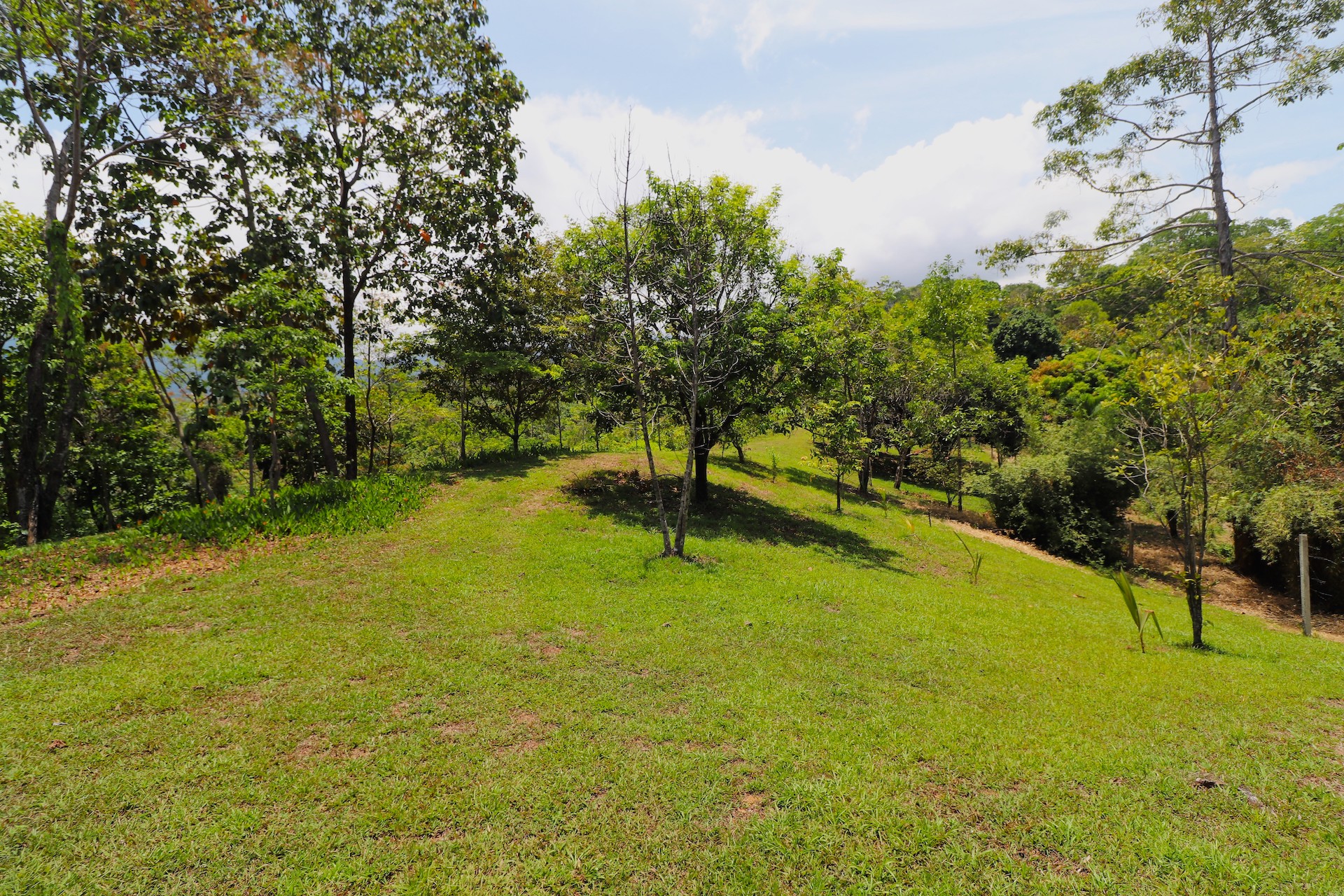 4 bed Land For Sale in Uvita, Puntarenas - thumb 22