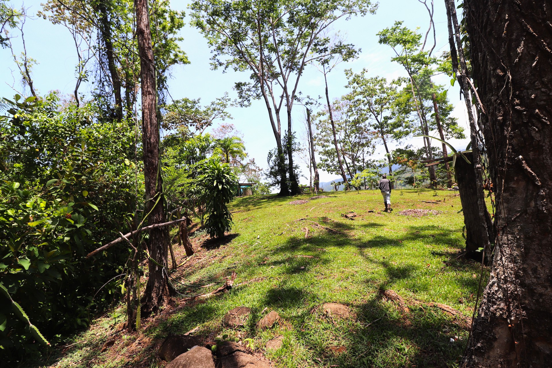 4 bed Land For Sale in Uvita, Puntarenas - thumb 18