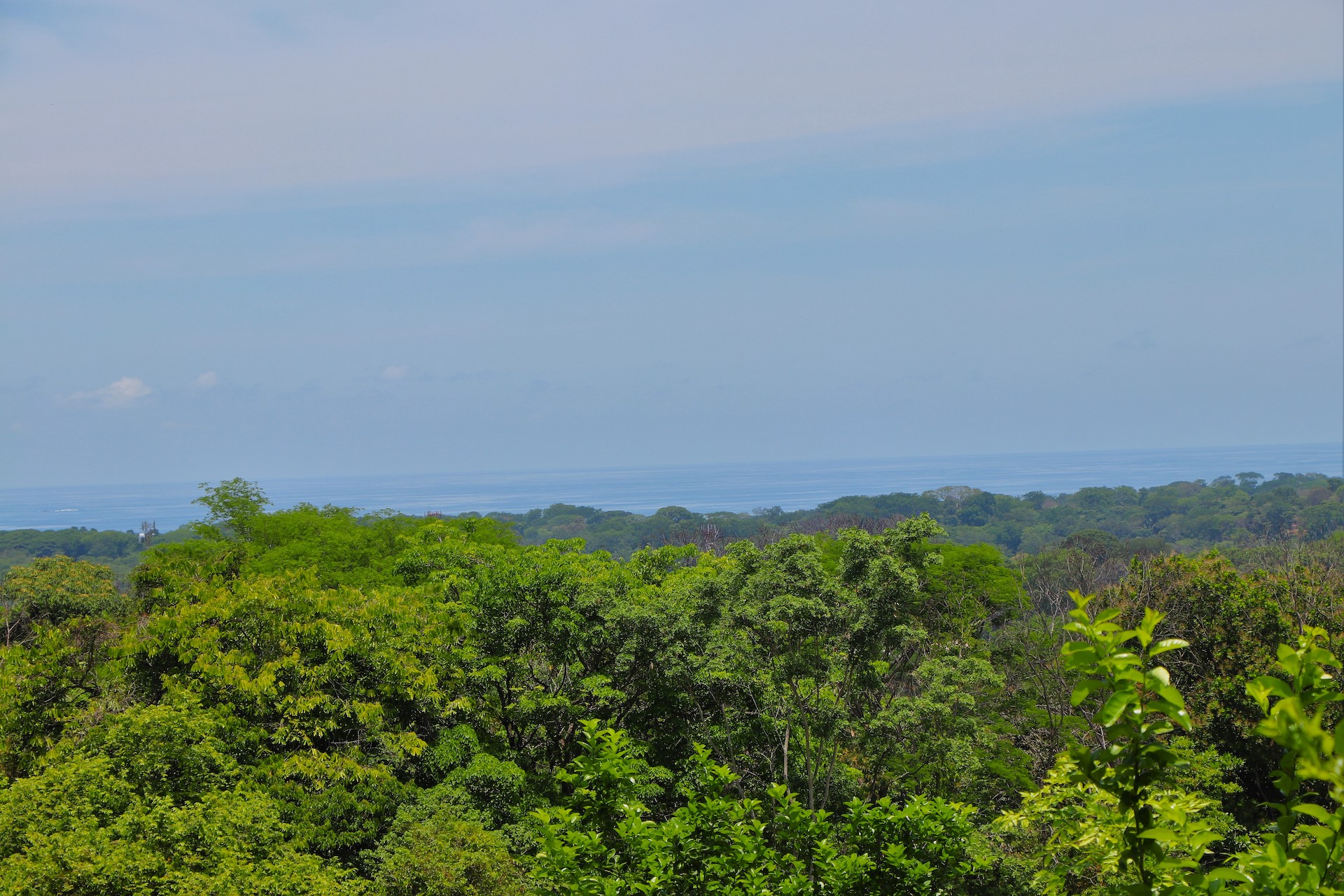 4 bed Land For Sale in Uvita, Puntarenas - thumb 5