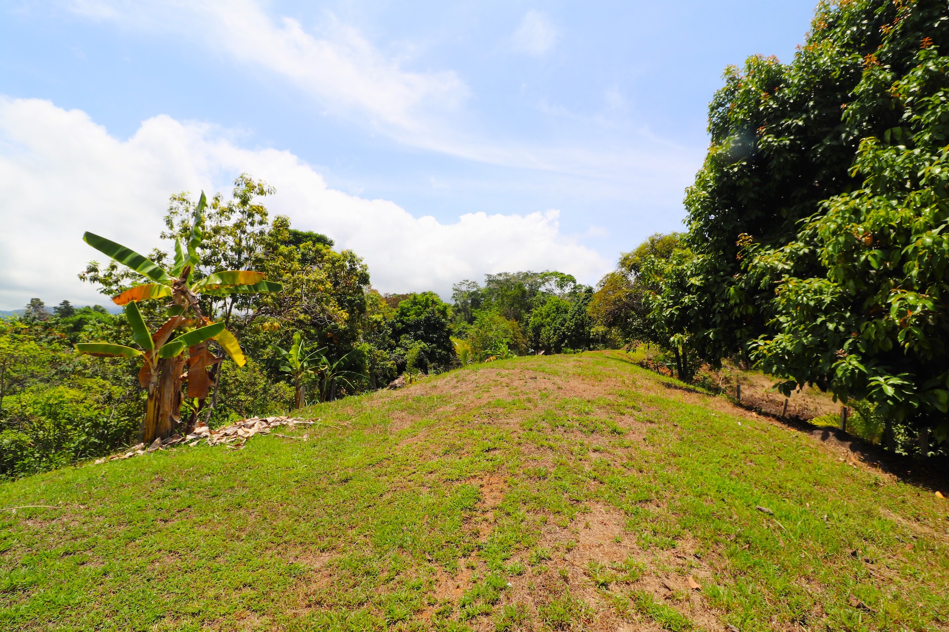 4 bed Land For Sale in Uvita, Puntarenas - thumb 23