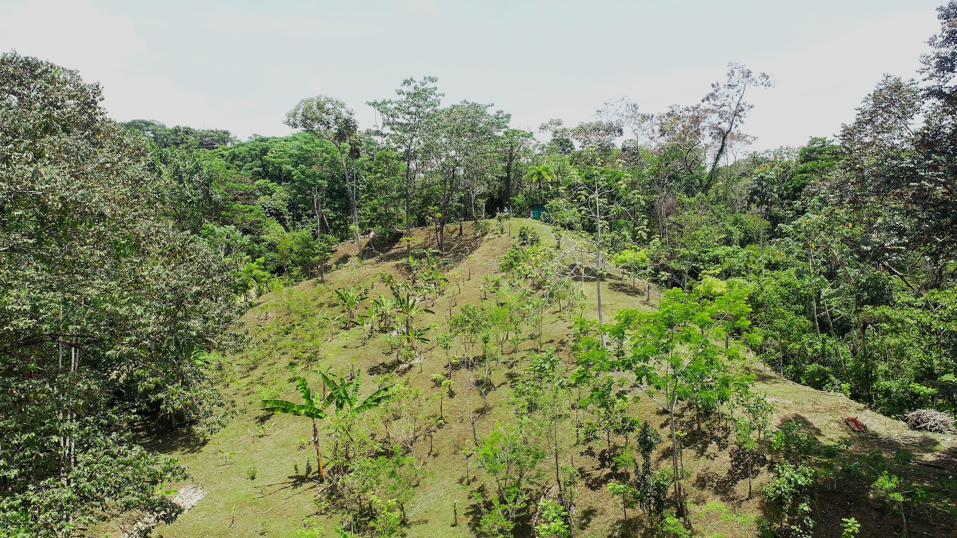 4 bed Land For Sale in Uvita, Puntarenas - thumb 16