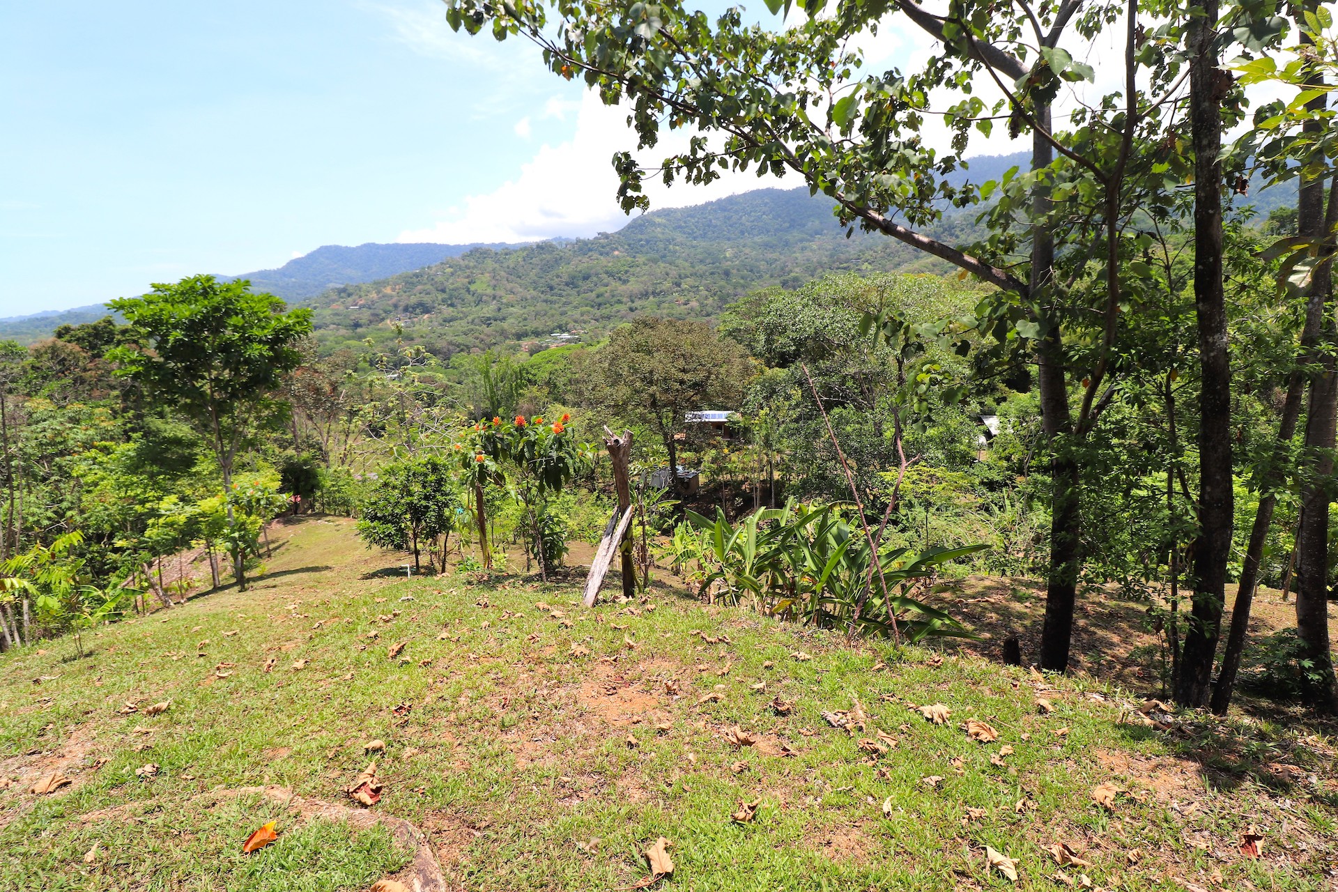 4 bed Land For Sale in Uvita, Puntarenas - thumb 21
